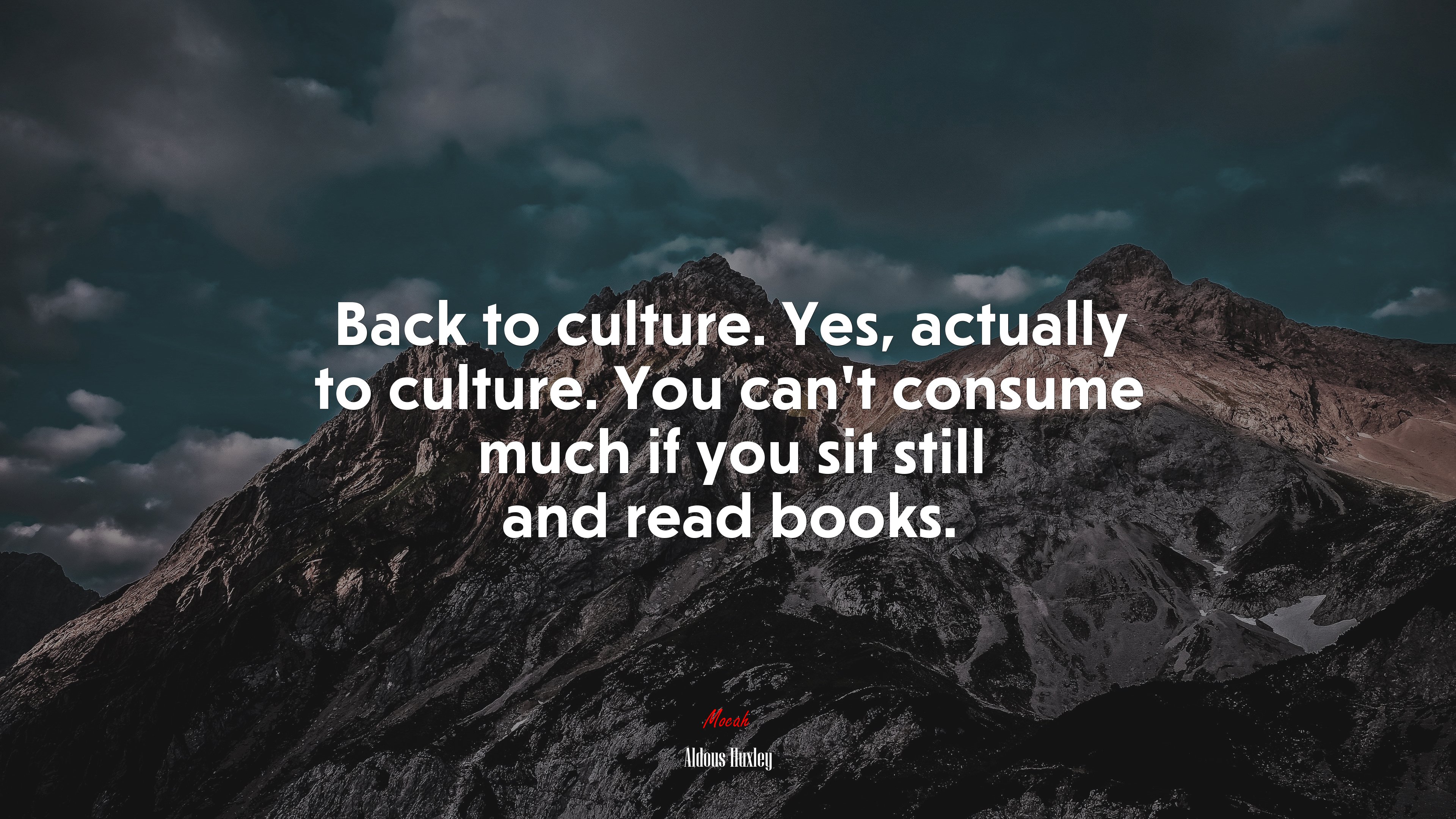 Back to culture. Yes, actually to culture. You can’t consume much if you sit still and read books. | Aldous Huxley quote HD Wallpaper
