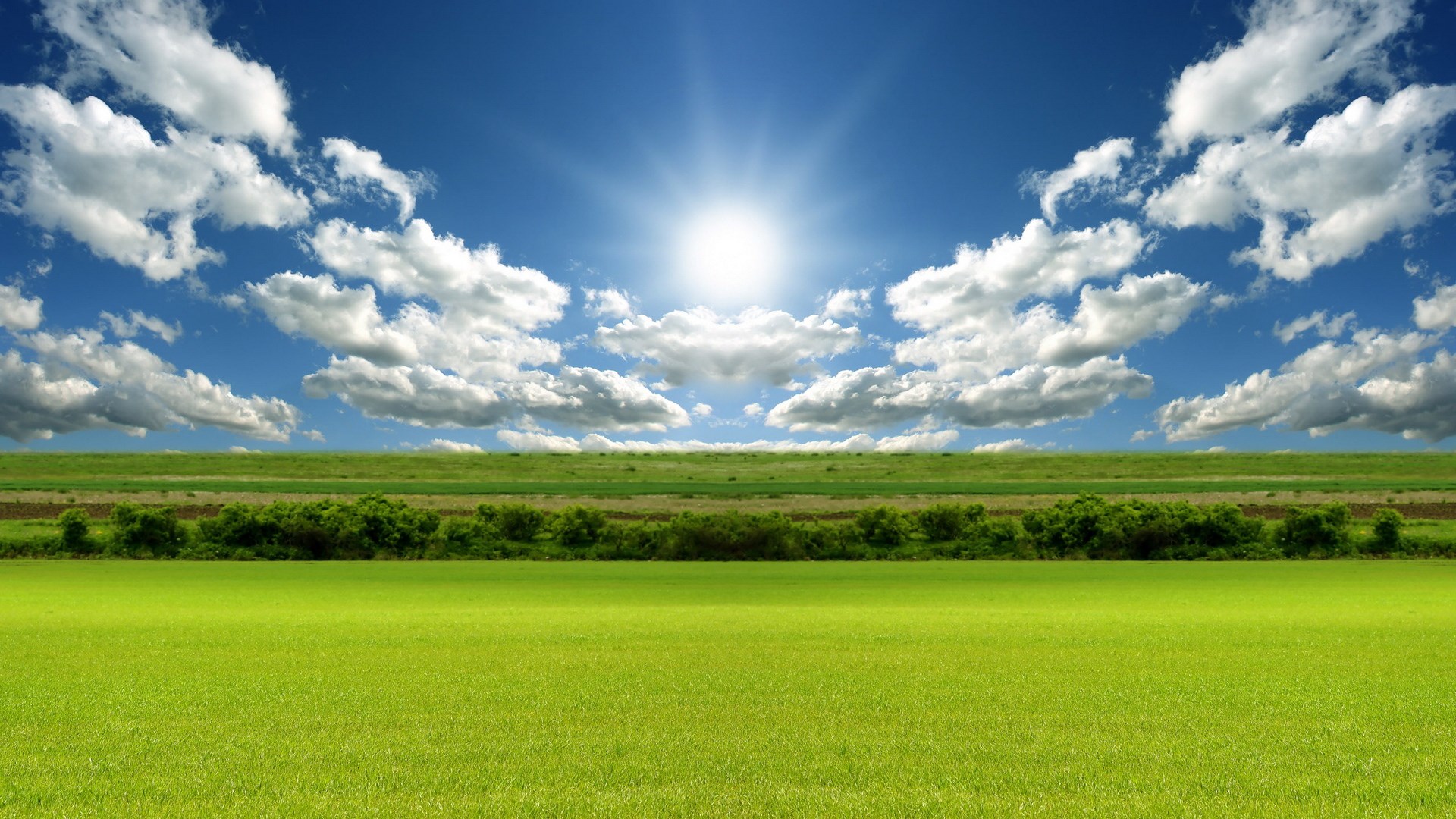 Sunny day over green fields and blue sky HD Wallpaper