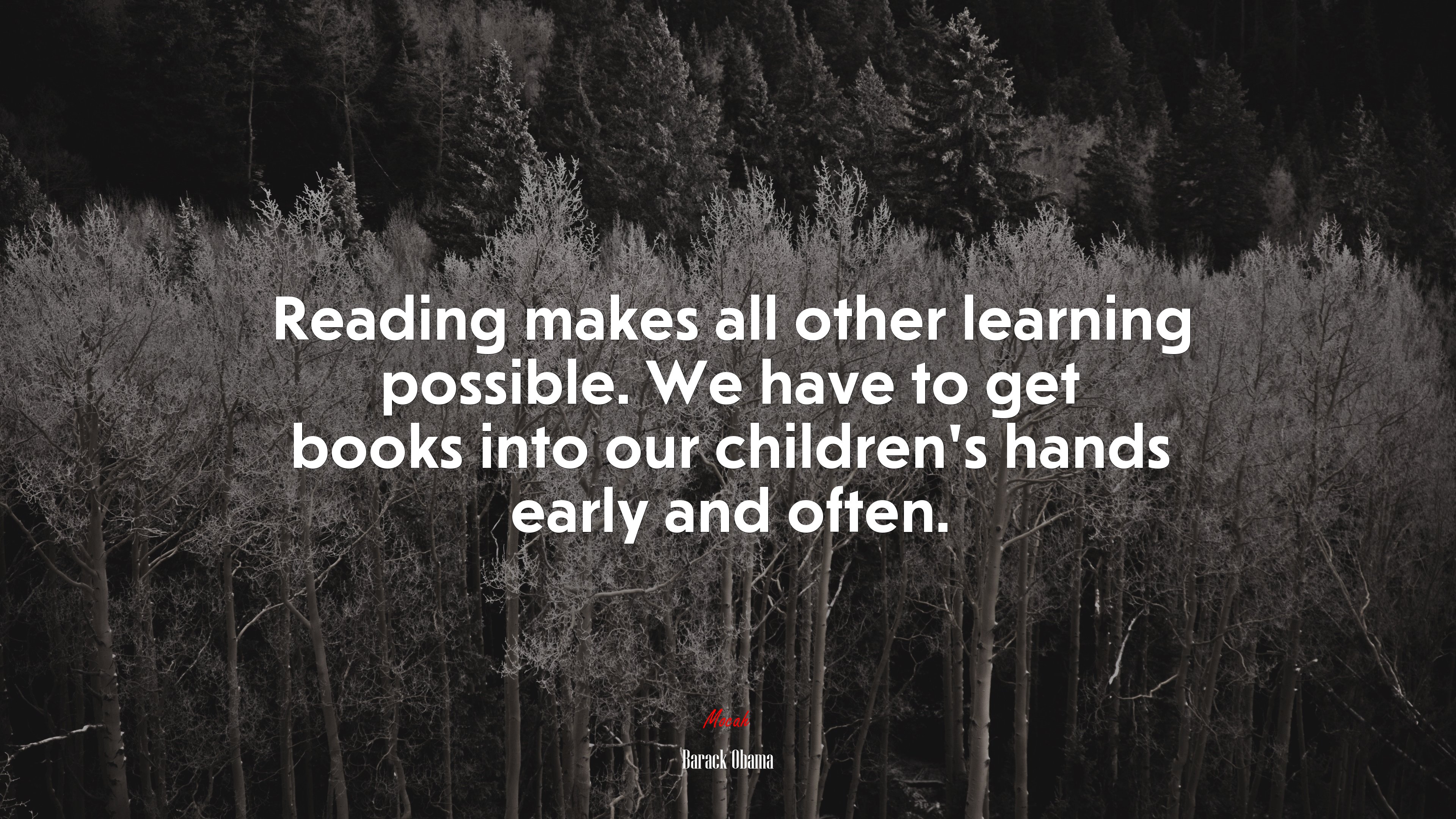Reading makes all other learning possible. We have to get books into our children’s hands early and often. | Barack Obama quote HD Wallpaper