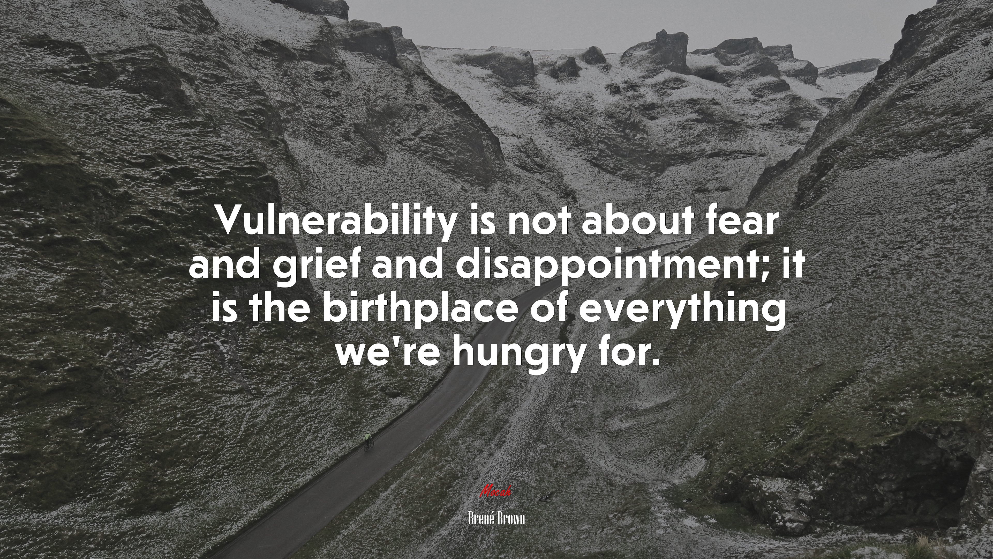 Vulnerability is not about fear and grief and disappointment; it is the birthplace of everything we’re hungry for. | Brené Brown quote HD Wallpaper