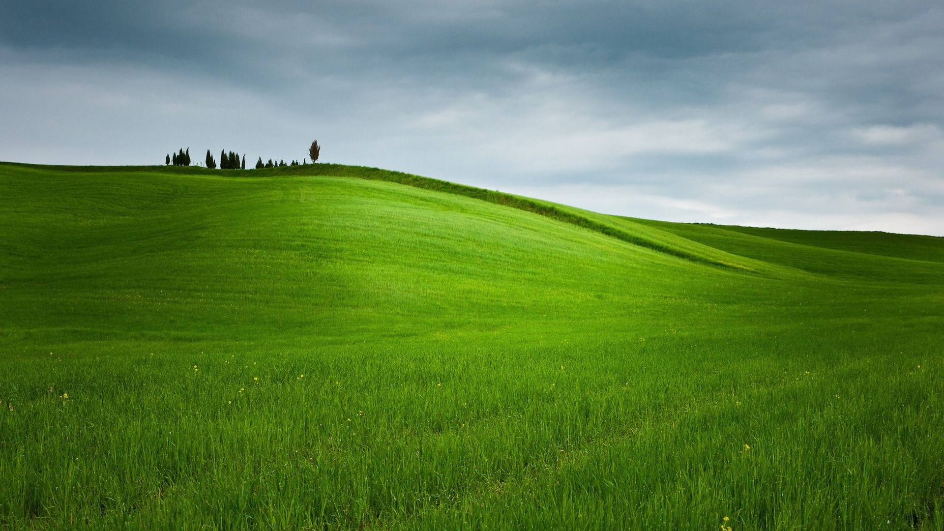 Rolling green hills under a cloudy sky HD Wallpaper