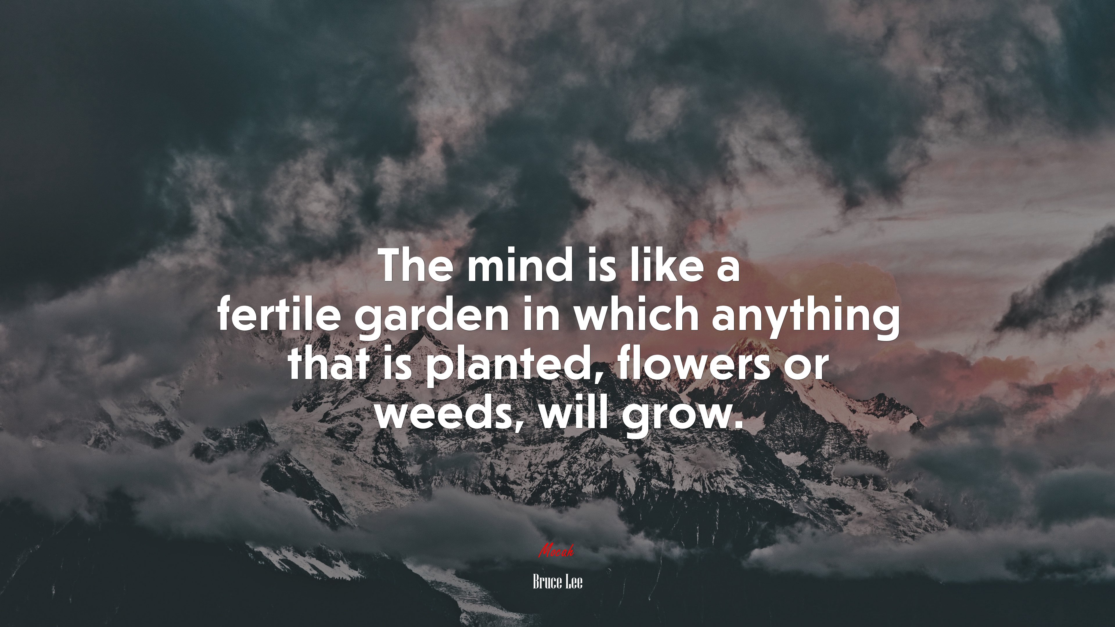 The mind is like a fertile garden in which anything that is planted, flowers or weeds, will grow. | Bruce Lee quote HD Wallpaper