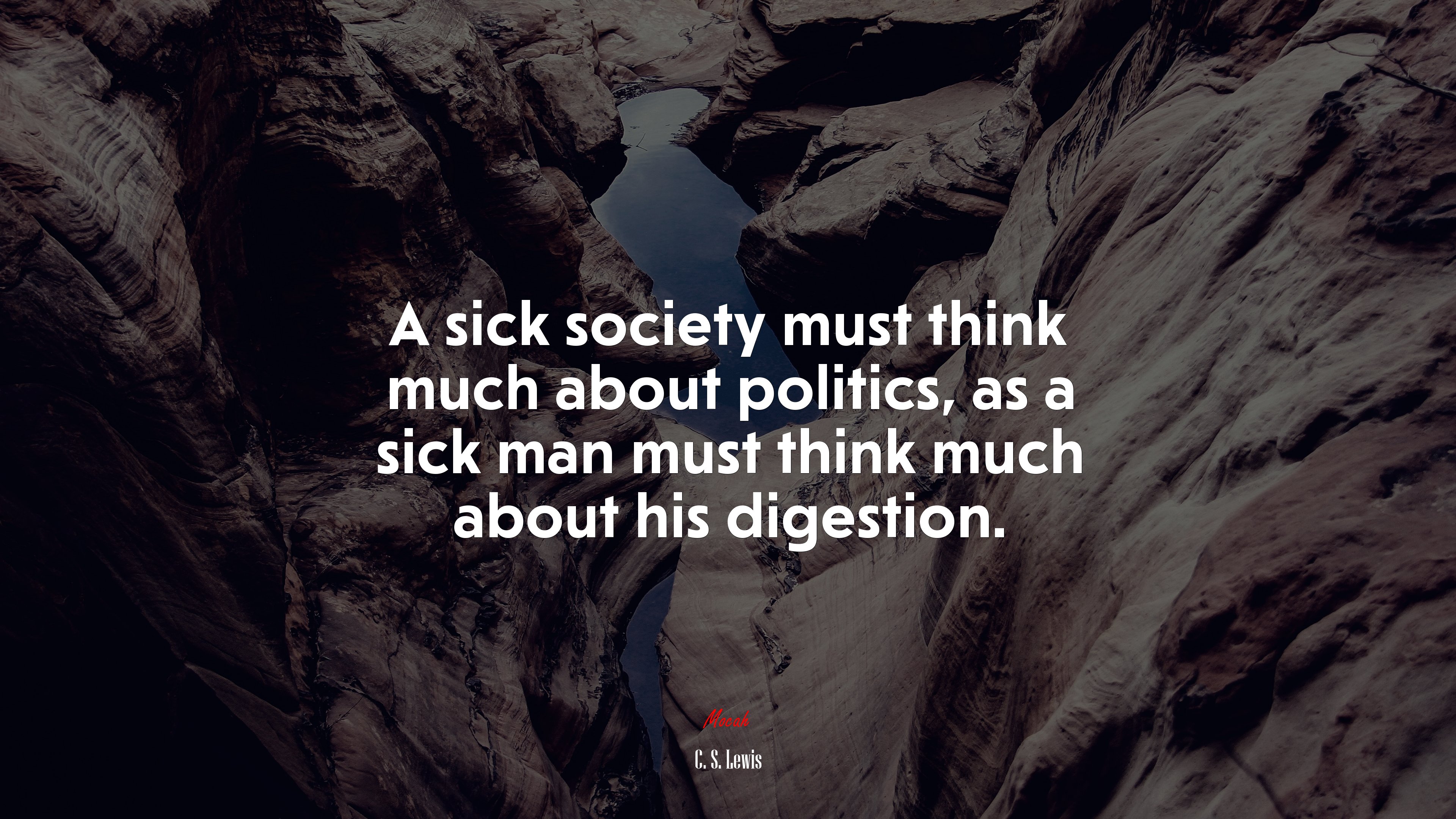 A sick society must think much about politics, as a sick man must think much about his digestion. | C. S. Lewis quote HD Wallpaper