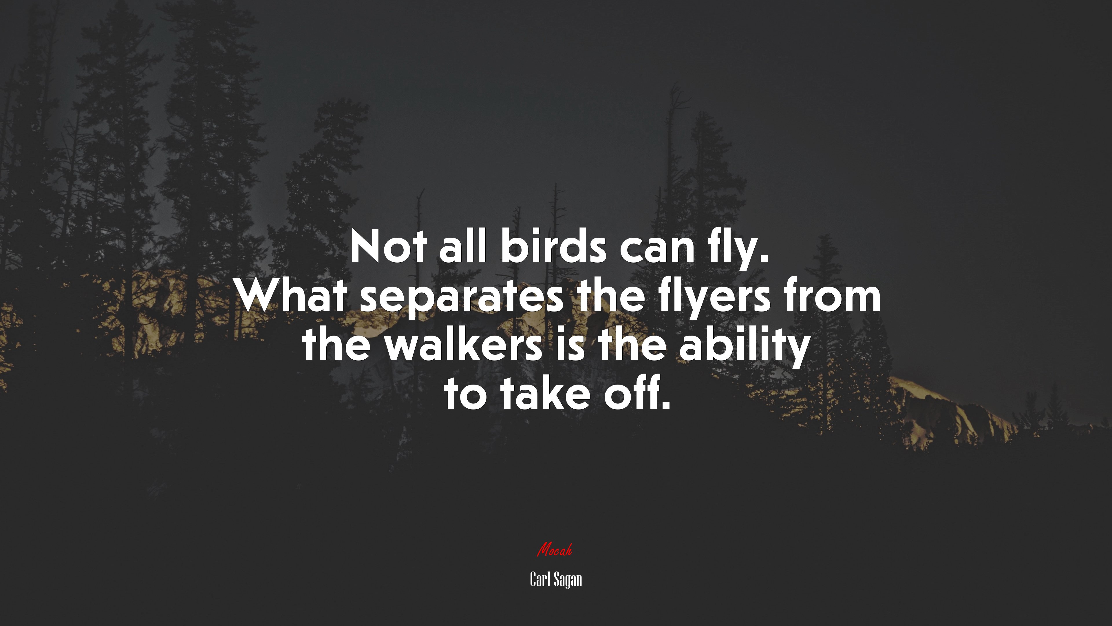 Not all birds can fly. What separates the flyers from the walkers is the ability to take off. | Carl Sagan quote HD Wallpaper
