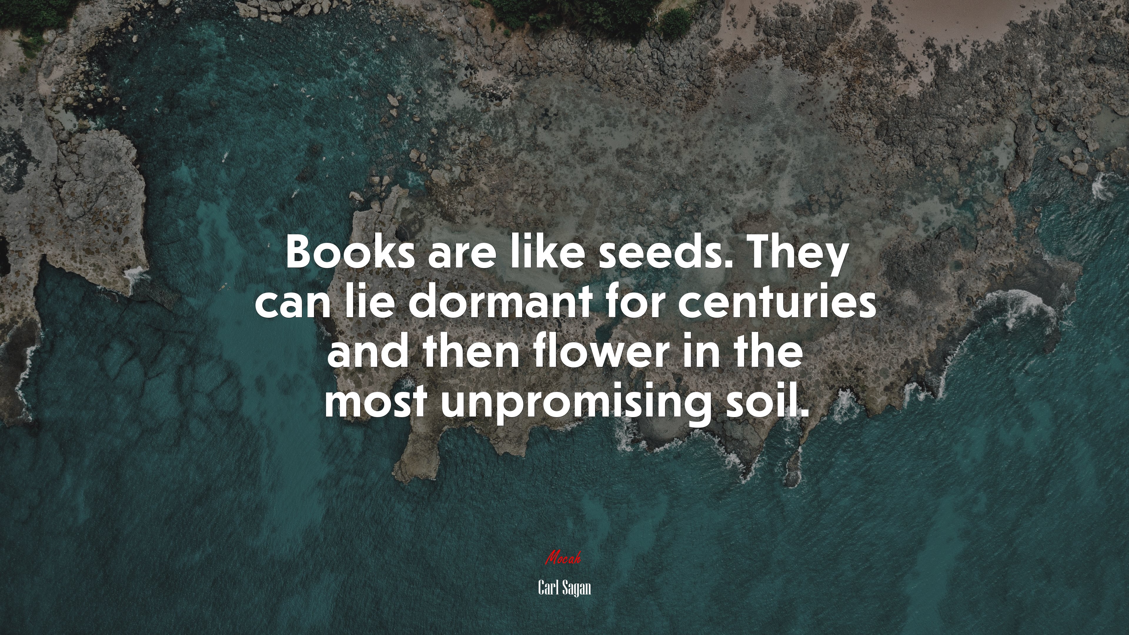 Books are like seeds. They can lie dormant for centuries and then flower in the most unpromising soil. | Carl Sagan quote HD Wallpaper