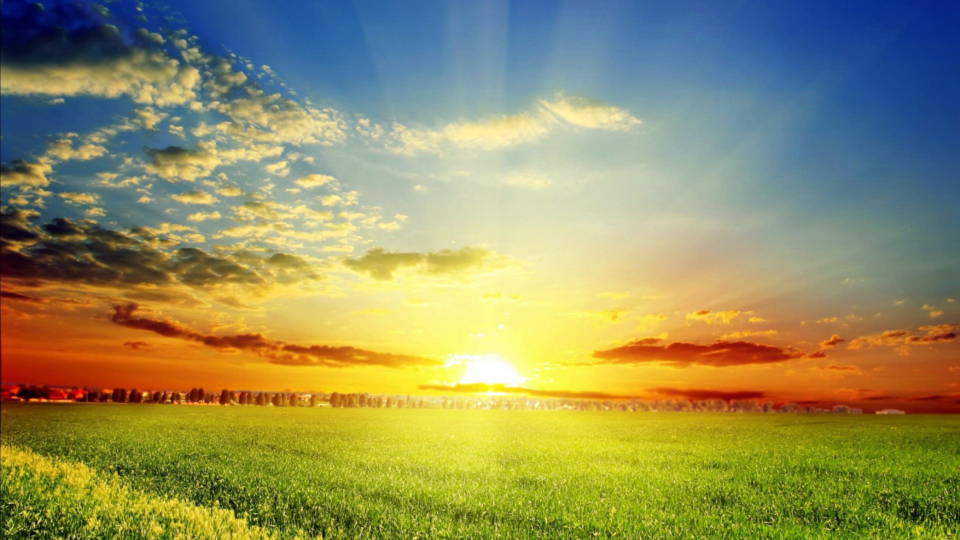 Sunrise over a green field with clouds HD Wallpaper