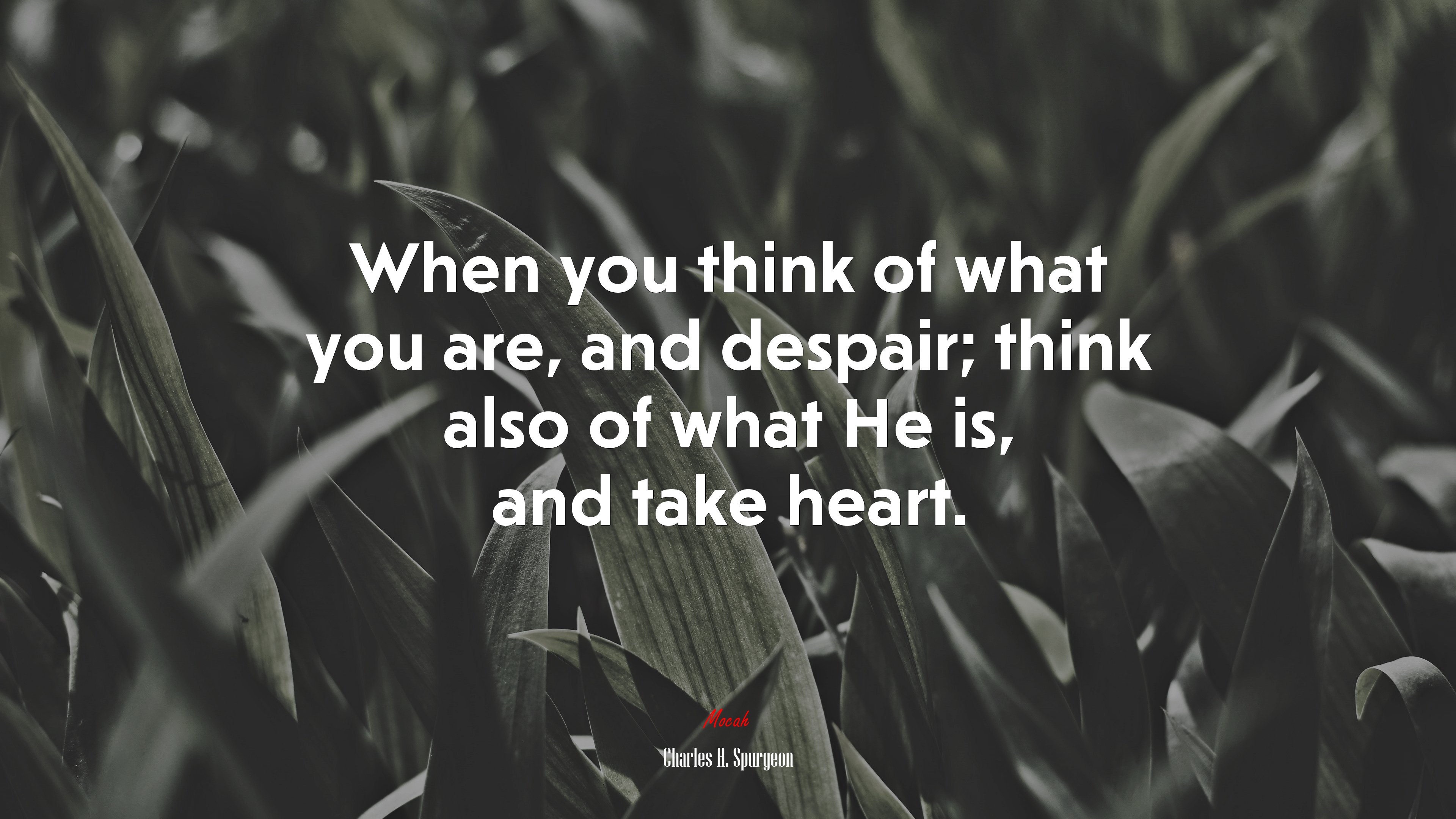 When you think of what you are, and despair; think also of what He is, and take heart. | Charles H. Spurgeon quote HD Wallpaper