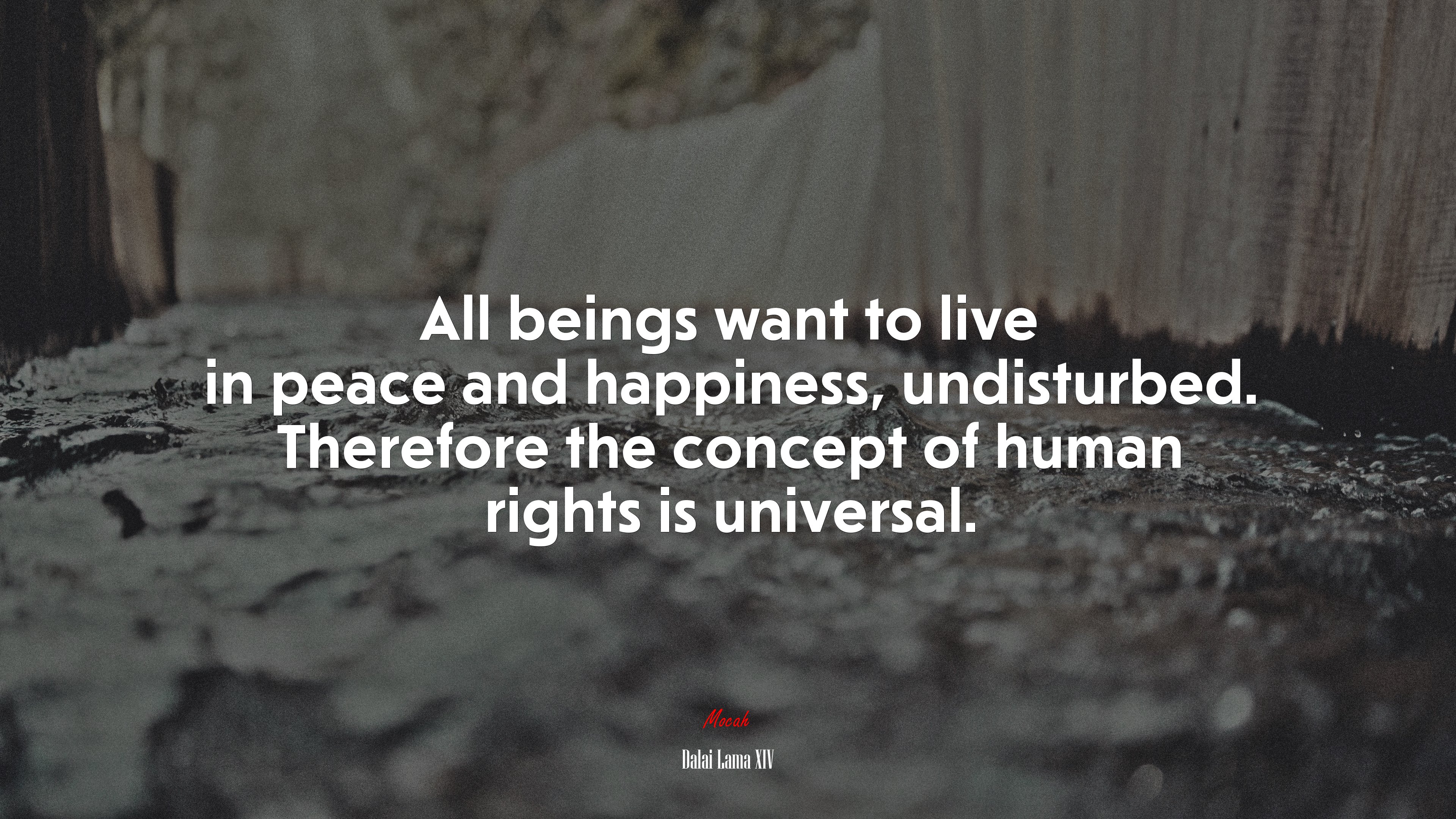 All beings want to live in peace and happiness, undisturbed. Therefore the concept of human rights is universal. | Dalai Lama XIV quote HD Wallpaper