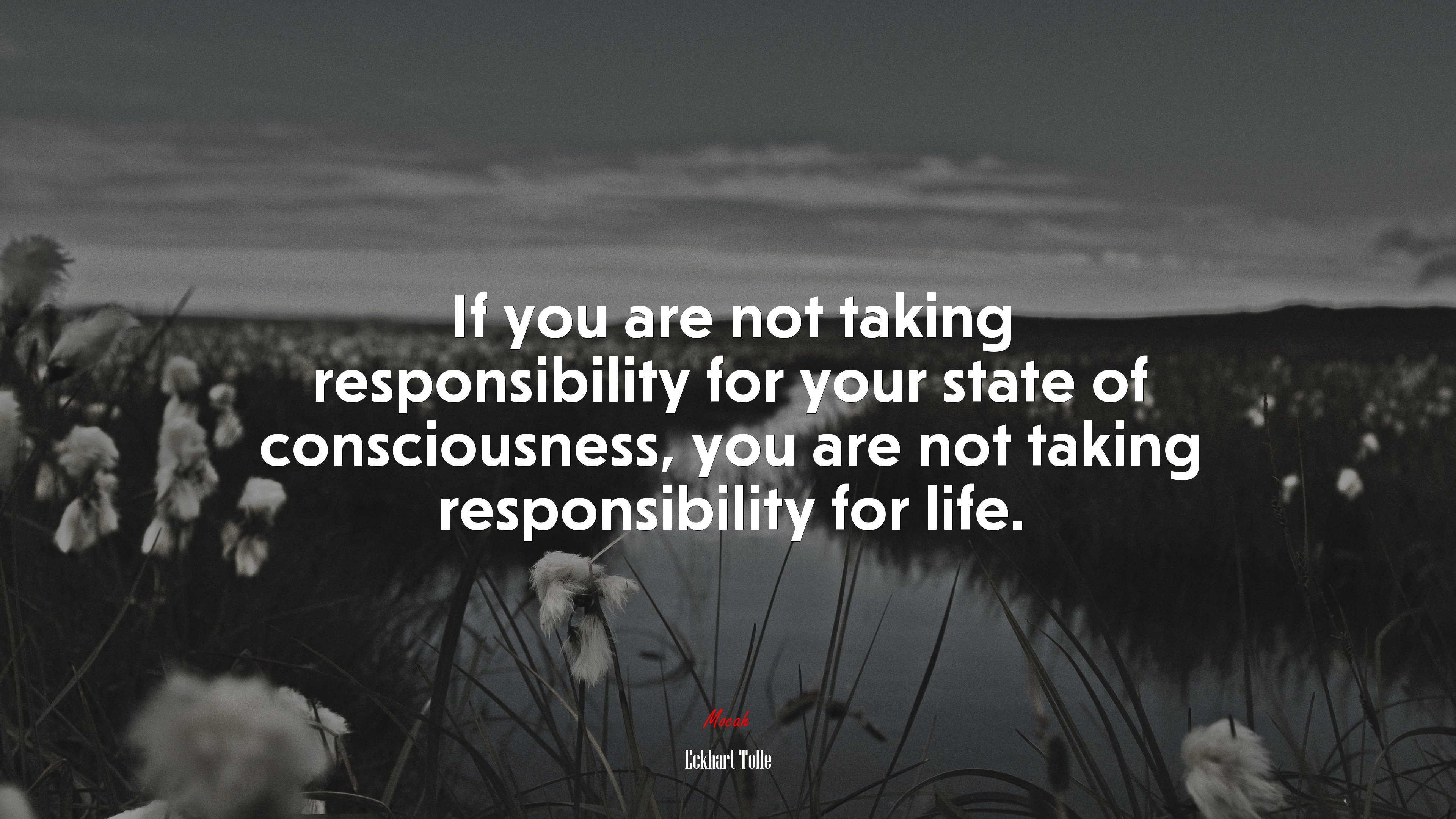 If you are not taking responsibility for your state of consciousness, you are not taking responsibility for life. | Eckhart Tolle quote HD Wallpaper