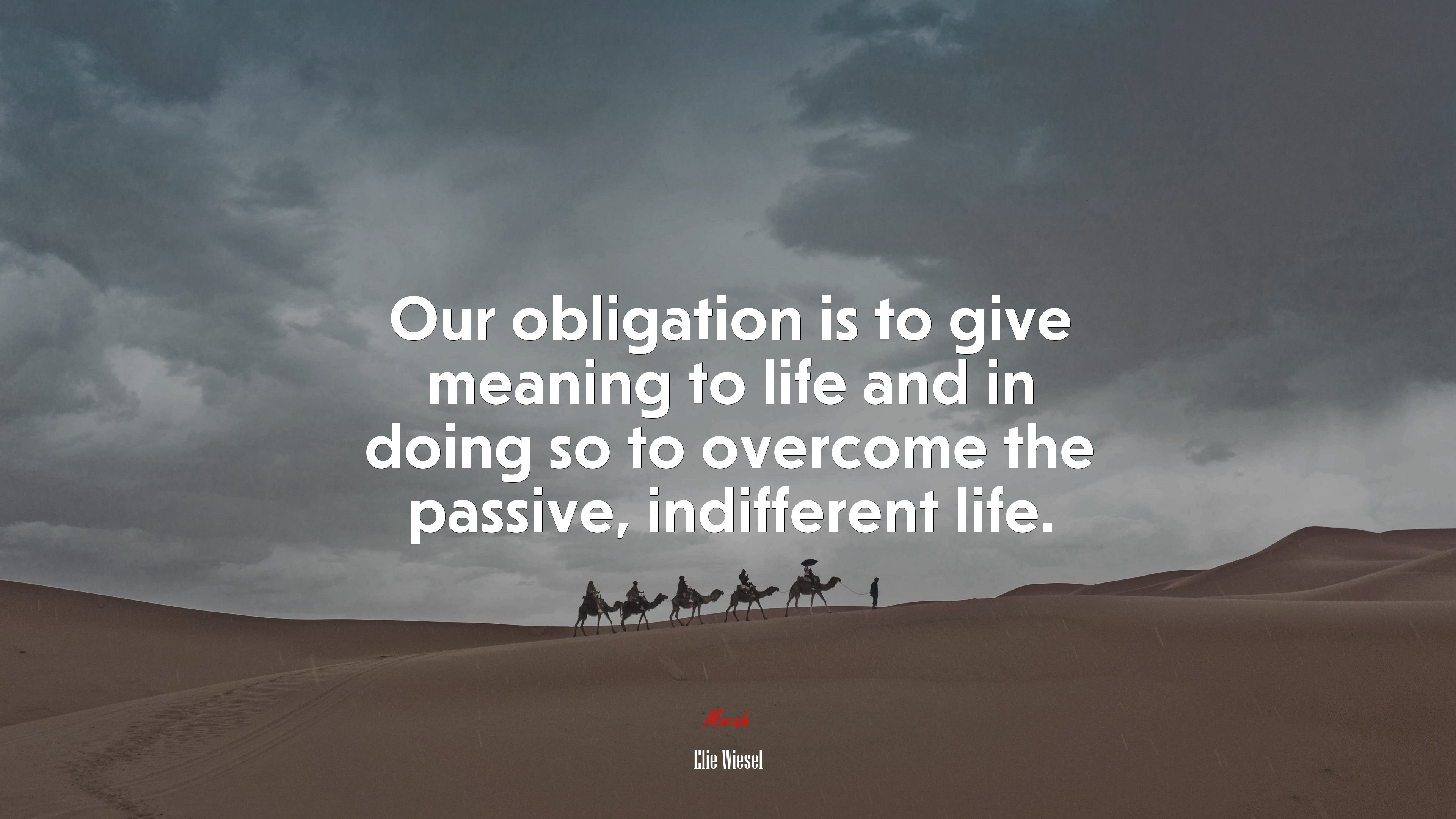 Our obligation is to give meaning to life and in doing so to overcome the passive, indifferent life. | Elie Wiesel quote HD Wallpaper