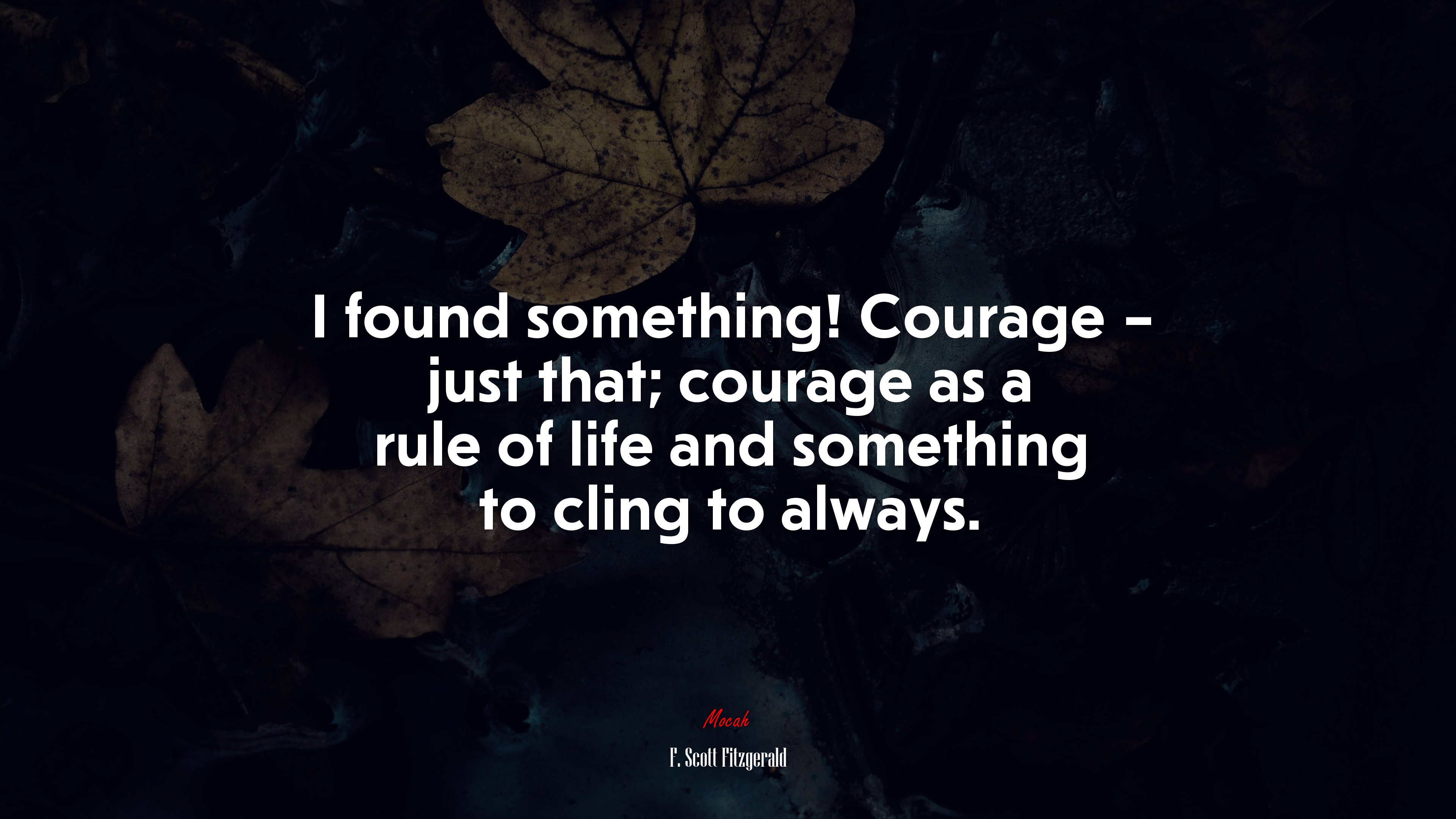 I found something! Courage – just that; courage as a rule of life and something to cling to always. | F. Scott Fitzgerald quote HD Wallpaper