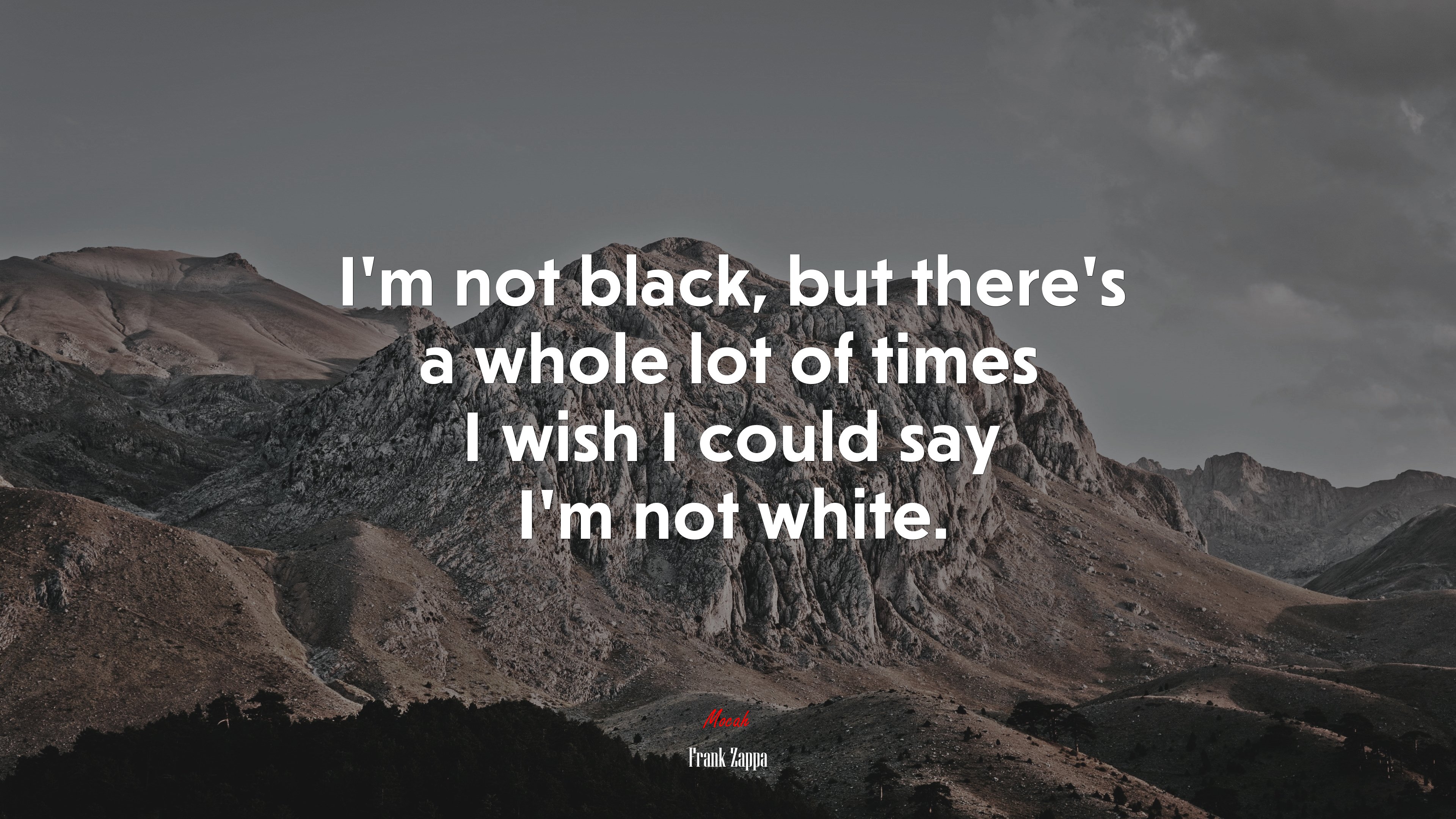 I’m not black, but there’s a whole lot of times I wish I could say I’m not white. | Frank Zappa quote HD Wallpaper