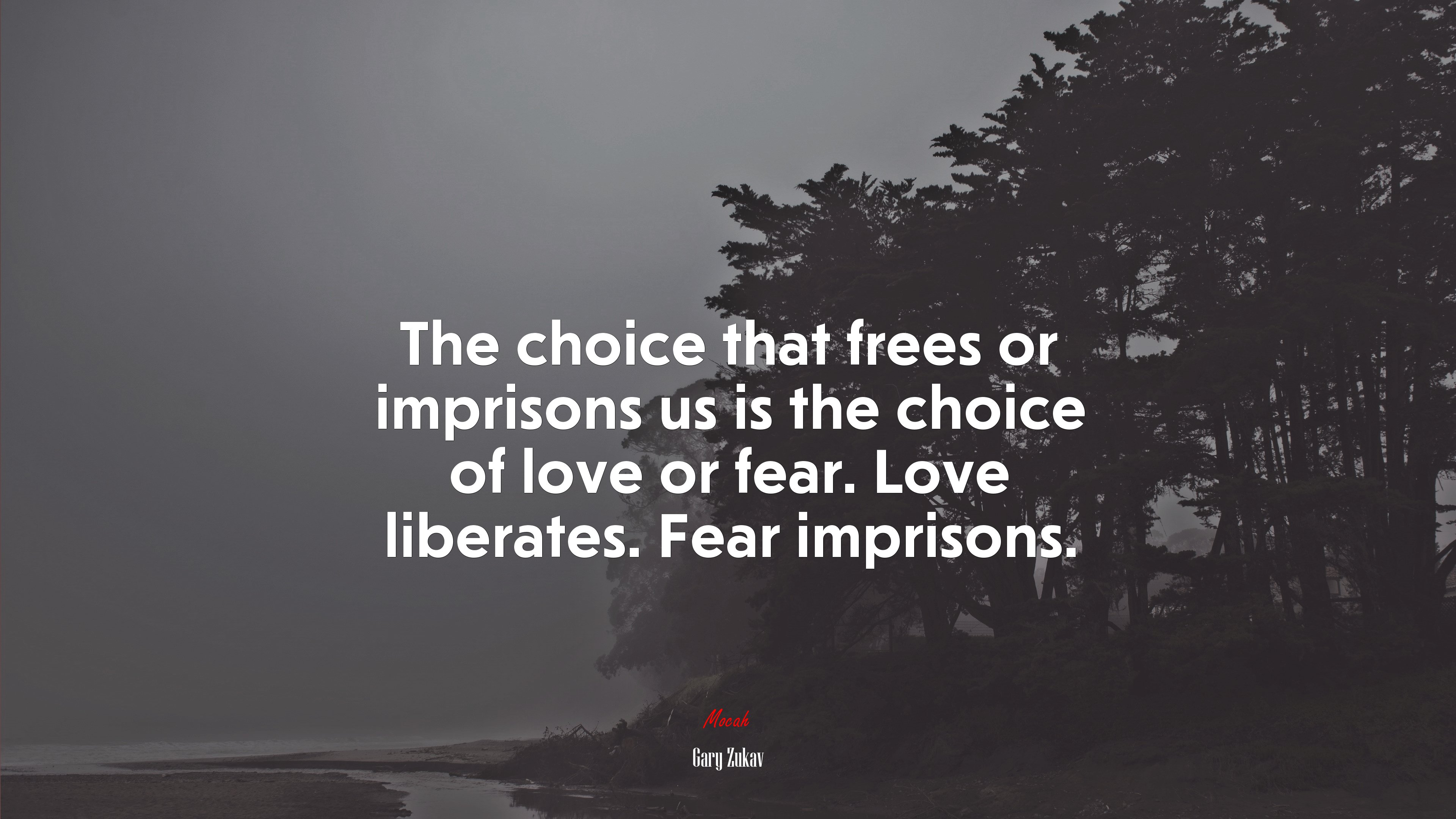 The choice that frees or imprisons us is the choice of love or fear. Love liberates. Fear imprisons. | Gary Zukav quote HD Wallpaper