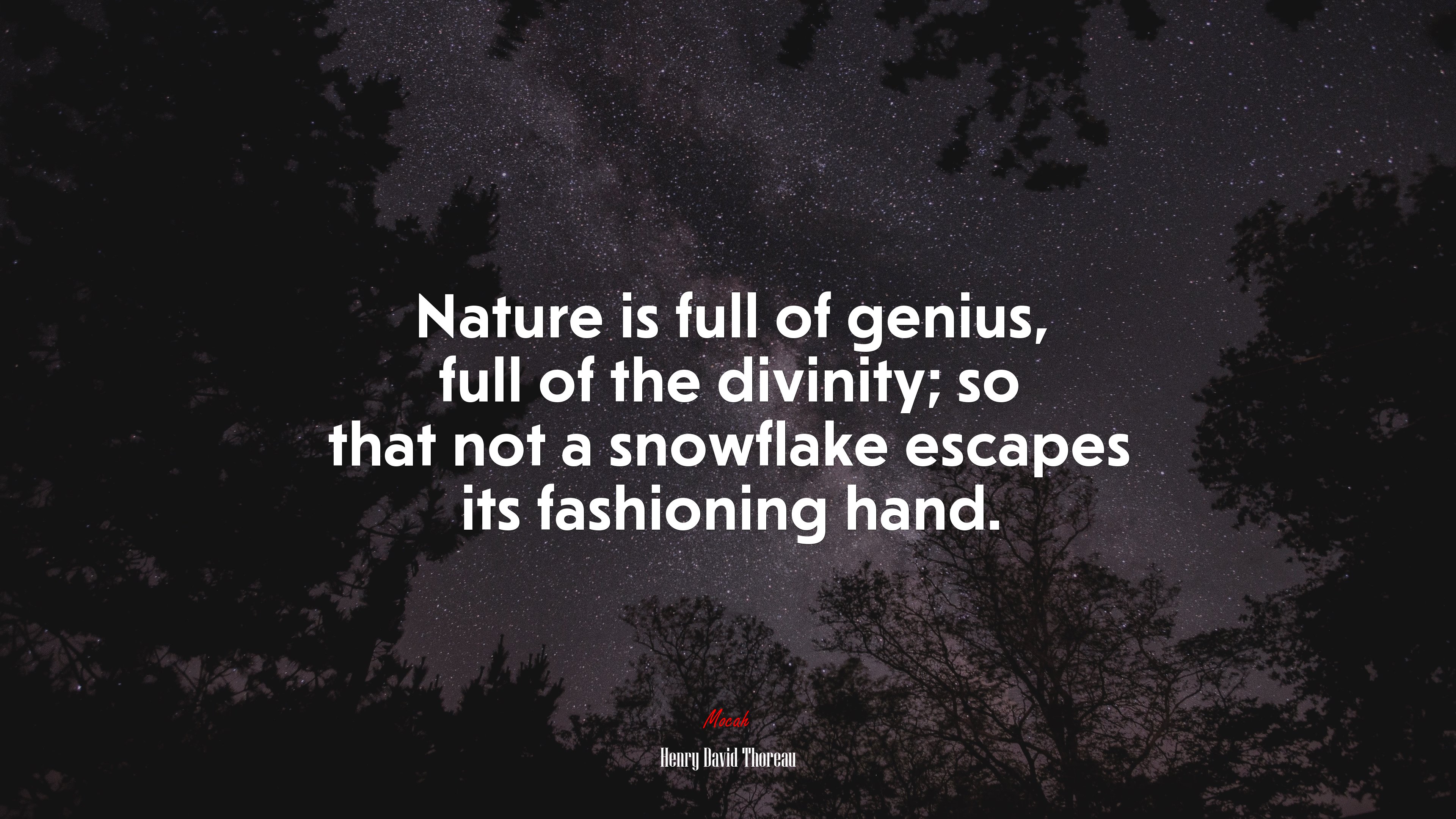 Nature is full of genius, full of the divinity; so that not a snowflake escapes its fashioning hand. | Henry David Thoreau quote HD Wallpaper