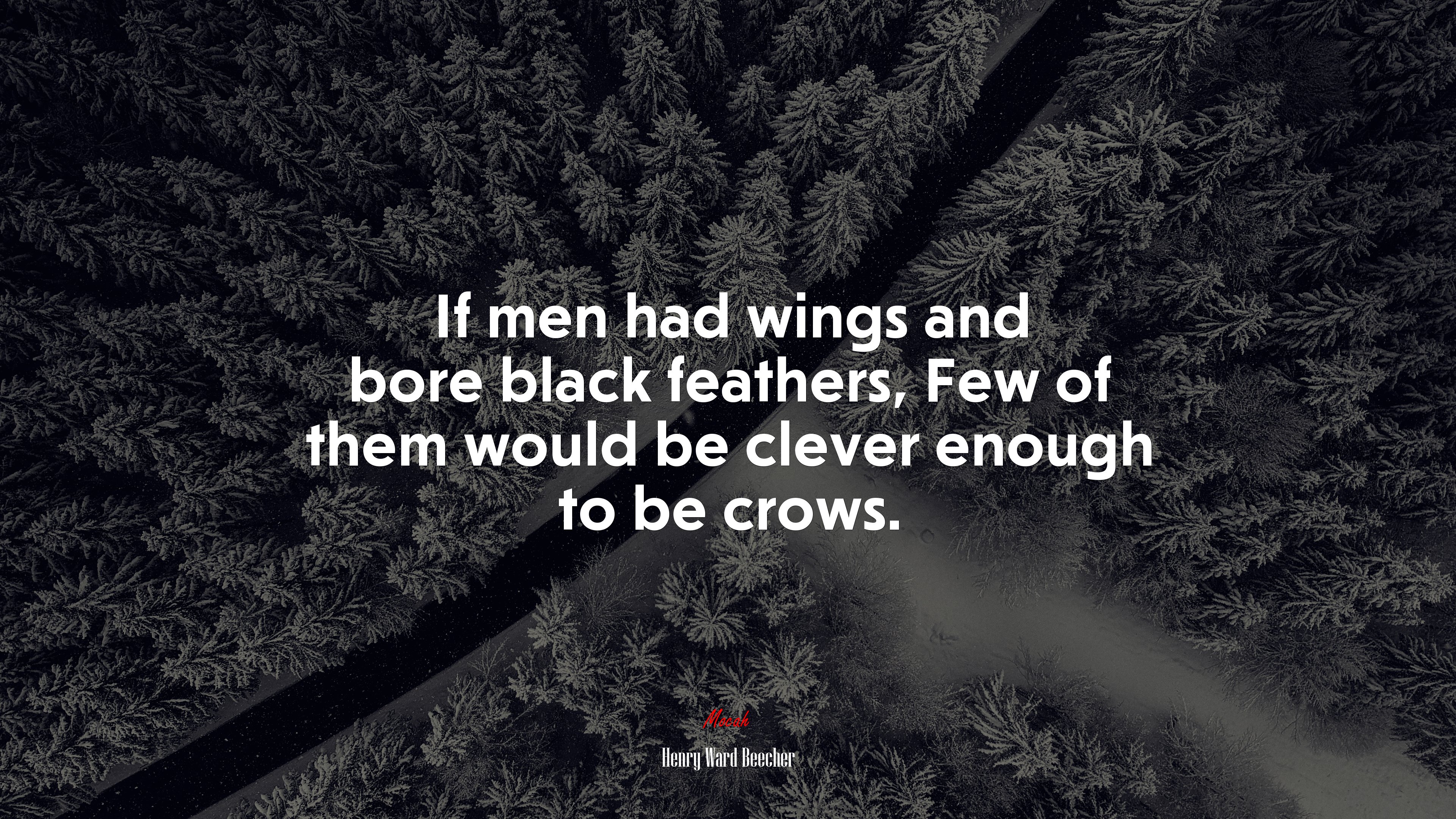 If men had wings and bore black feathers, Few of them would be clever enough to be crows. | Henry Ward Beecher quote HD Wallpaper