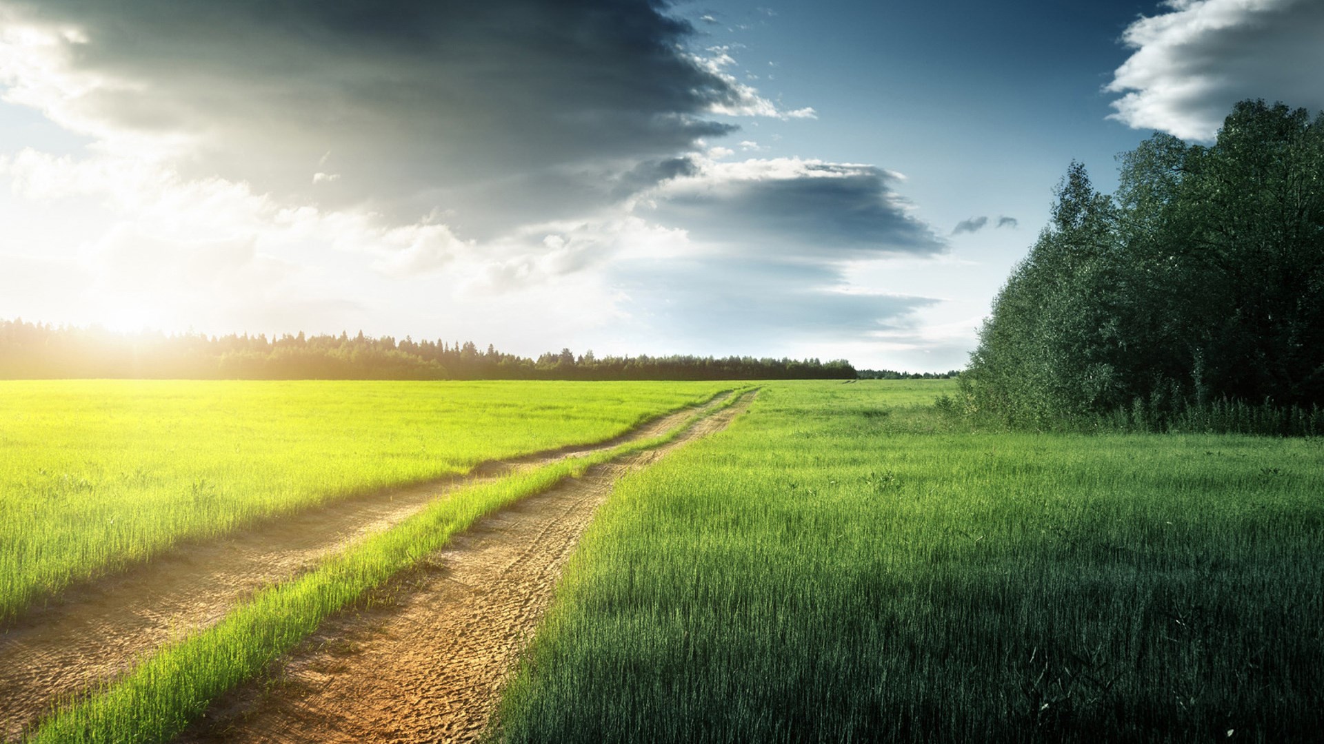 Dirt road through a green field under a cloudy sky HD Wallpaper
