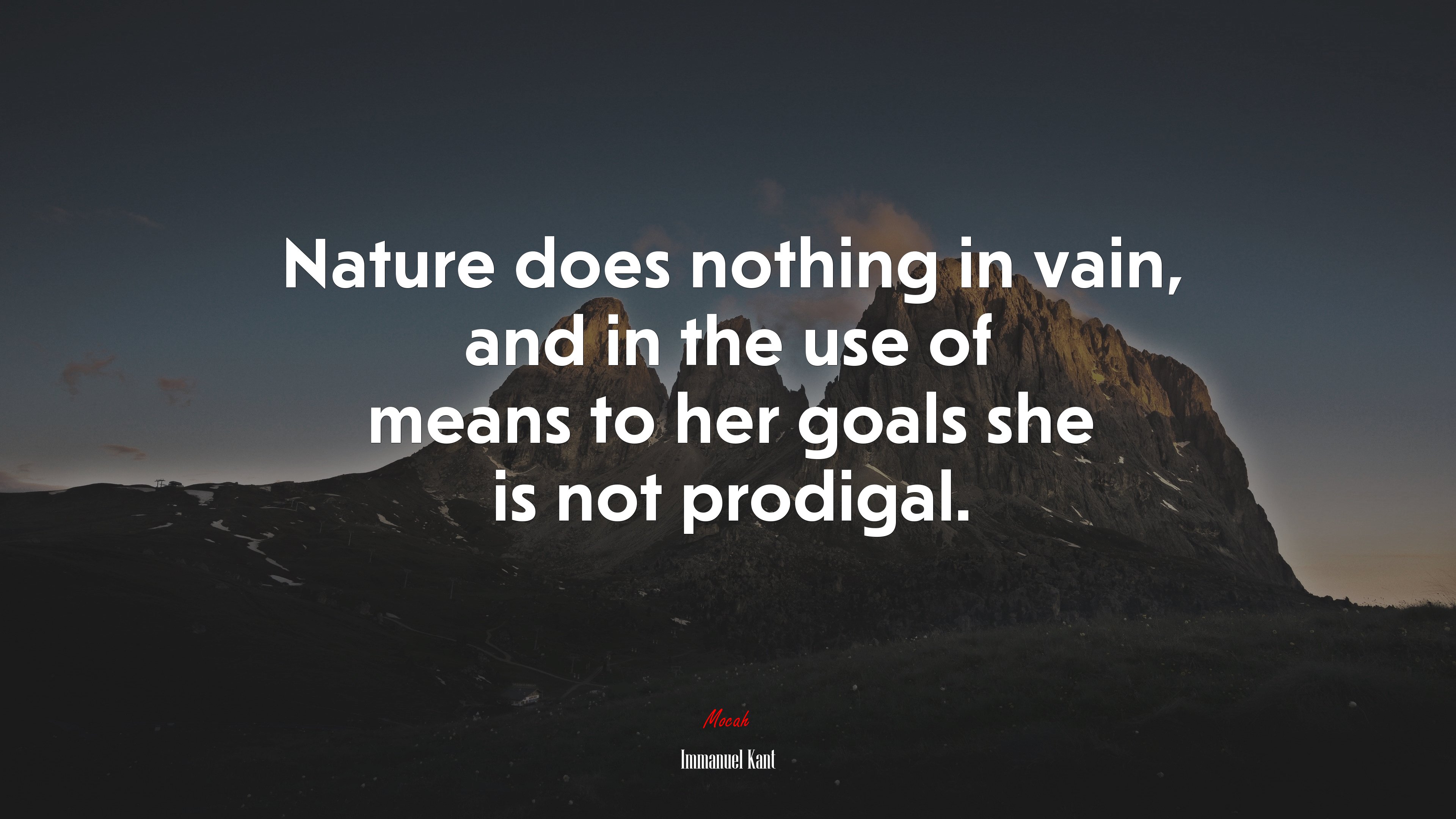 Nature does nothing in vain, and in the use of means to her goals she is not prodigal. | Immanuel Kant quote HD Wallpaper