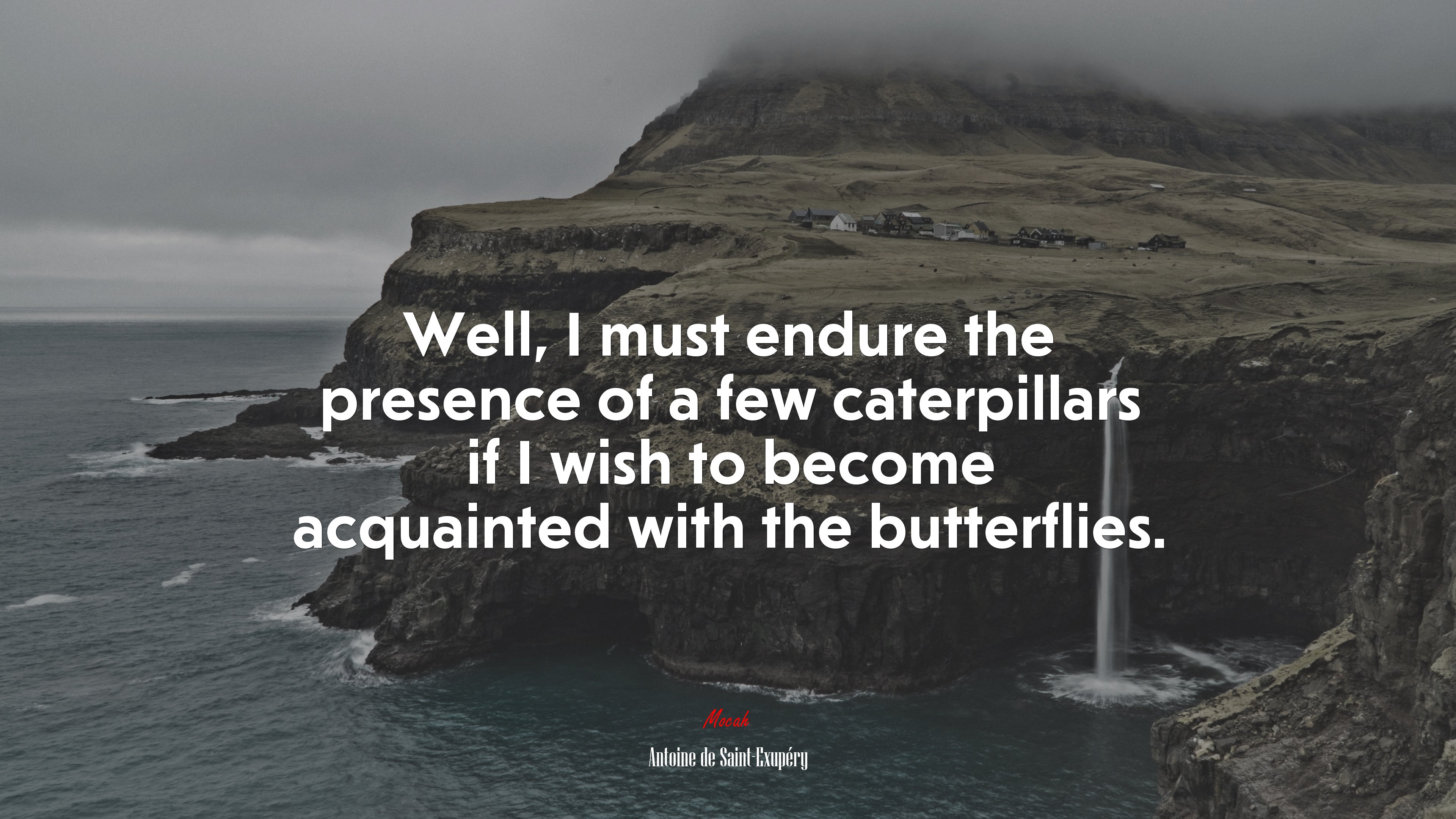 Well, I must endure the presence of a few caterpillars if I wish to become acquainted with the butterflies. | Antoine de Saint-Exupéry quote HD Wallpaper