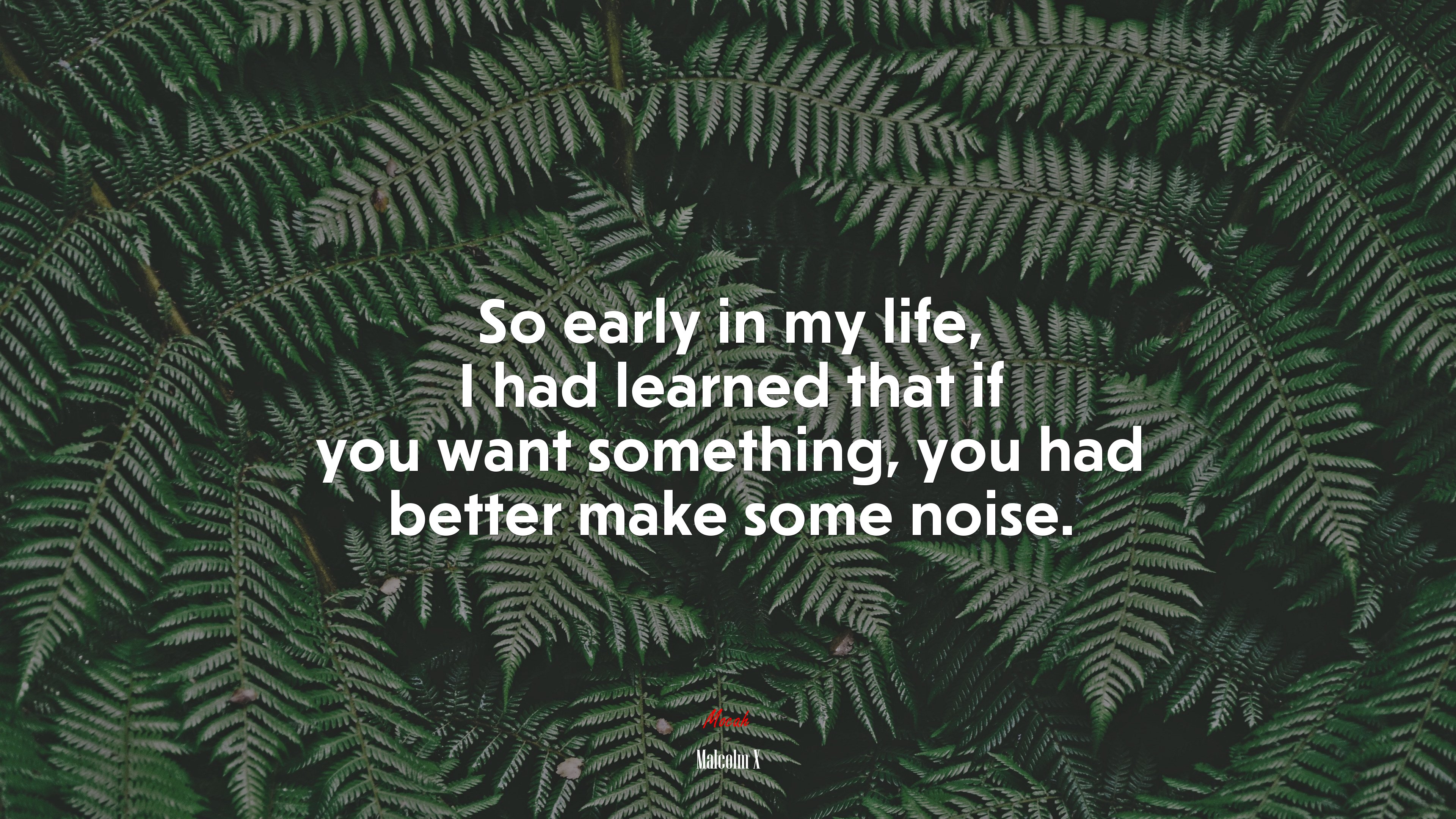 So early in my life, I had learned that if you want something, you had better make some noise. | Malcolm X quote HD Wallpaper