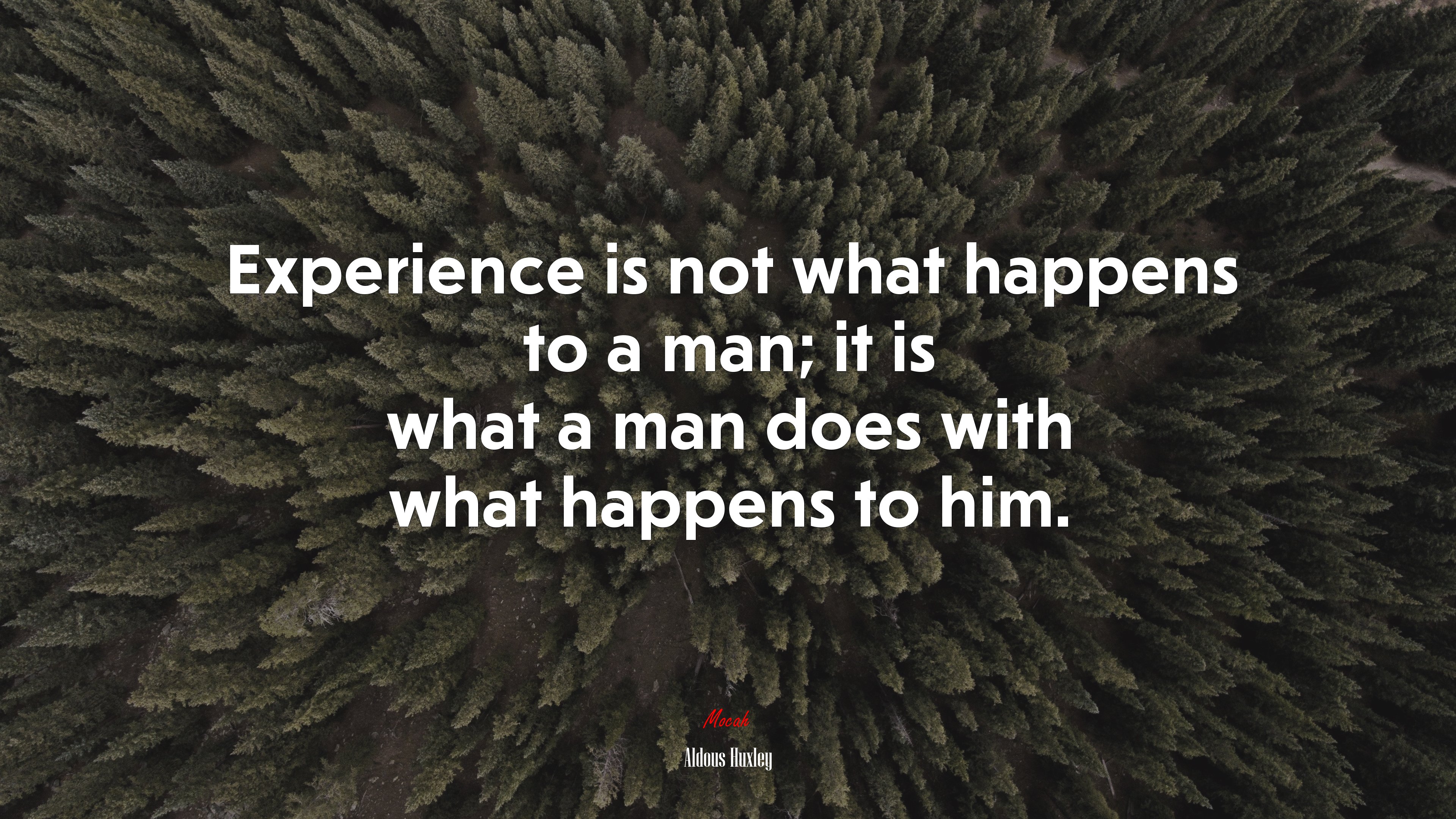 Experience is not what happens to a man; it is what a man does with what happens to him. | Aldous Huxley quote HD Wallpaper