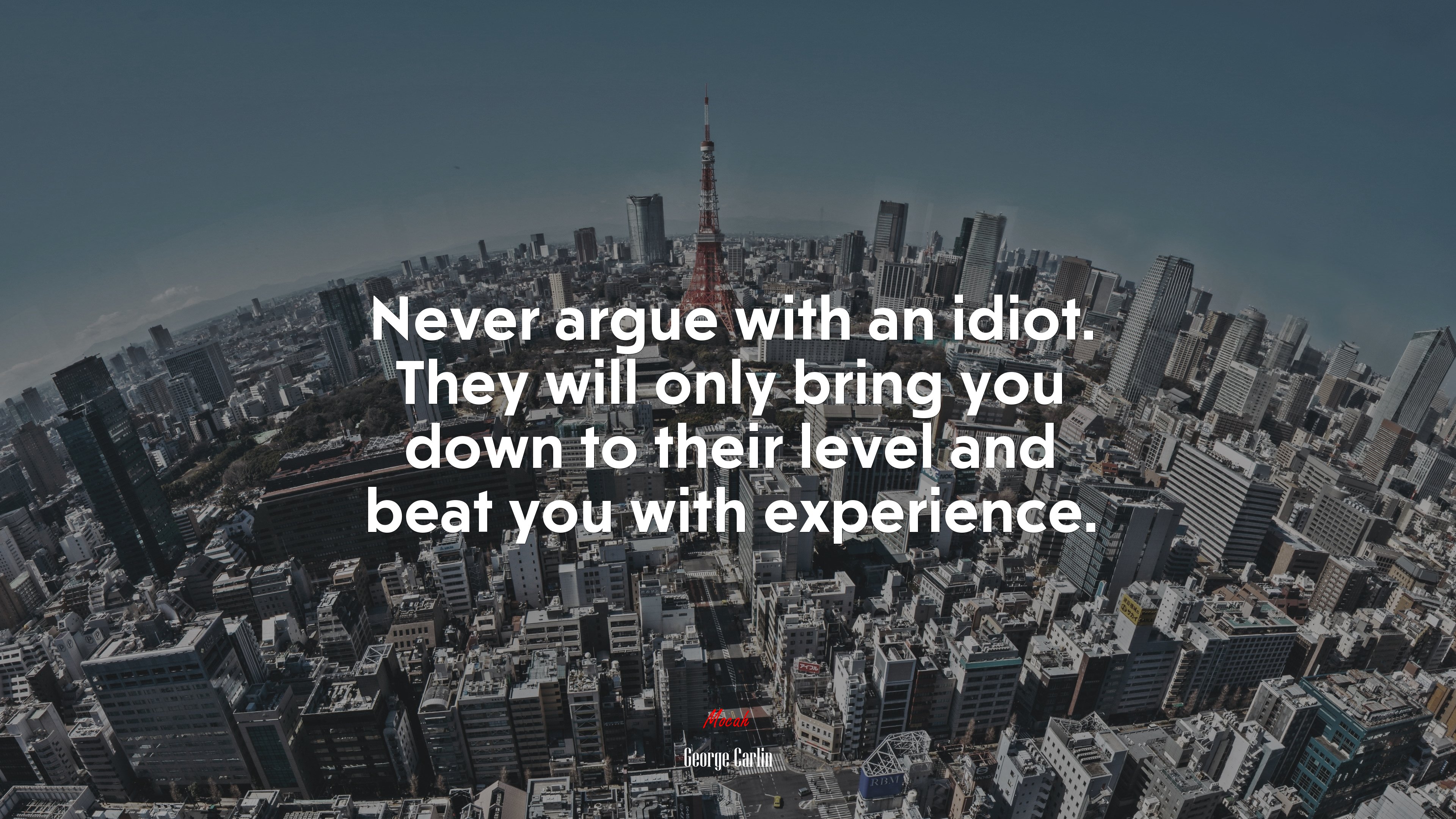 Never argue with an idiot. They will only bring you down to their level and beat you with experience. | George Carlin quote HD Wallpaper