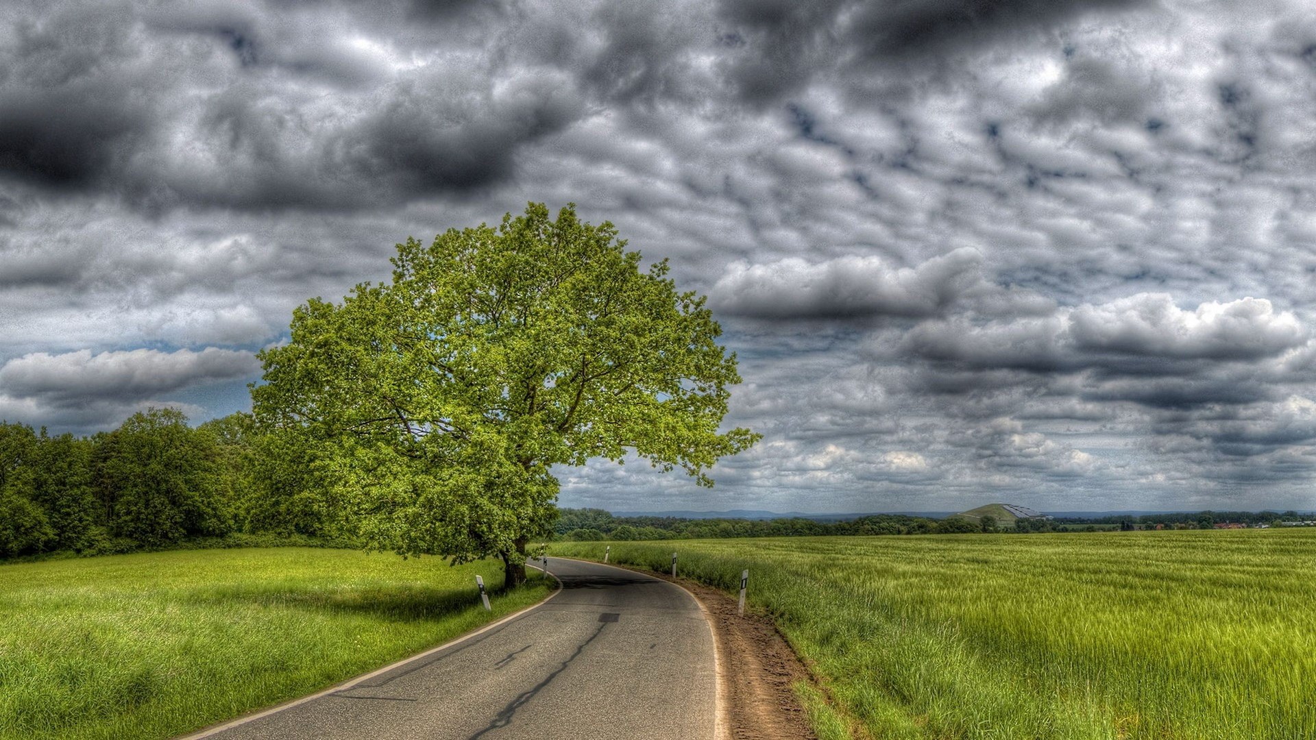 A winding road through green fields under a cloudy sky HD Wallpaper