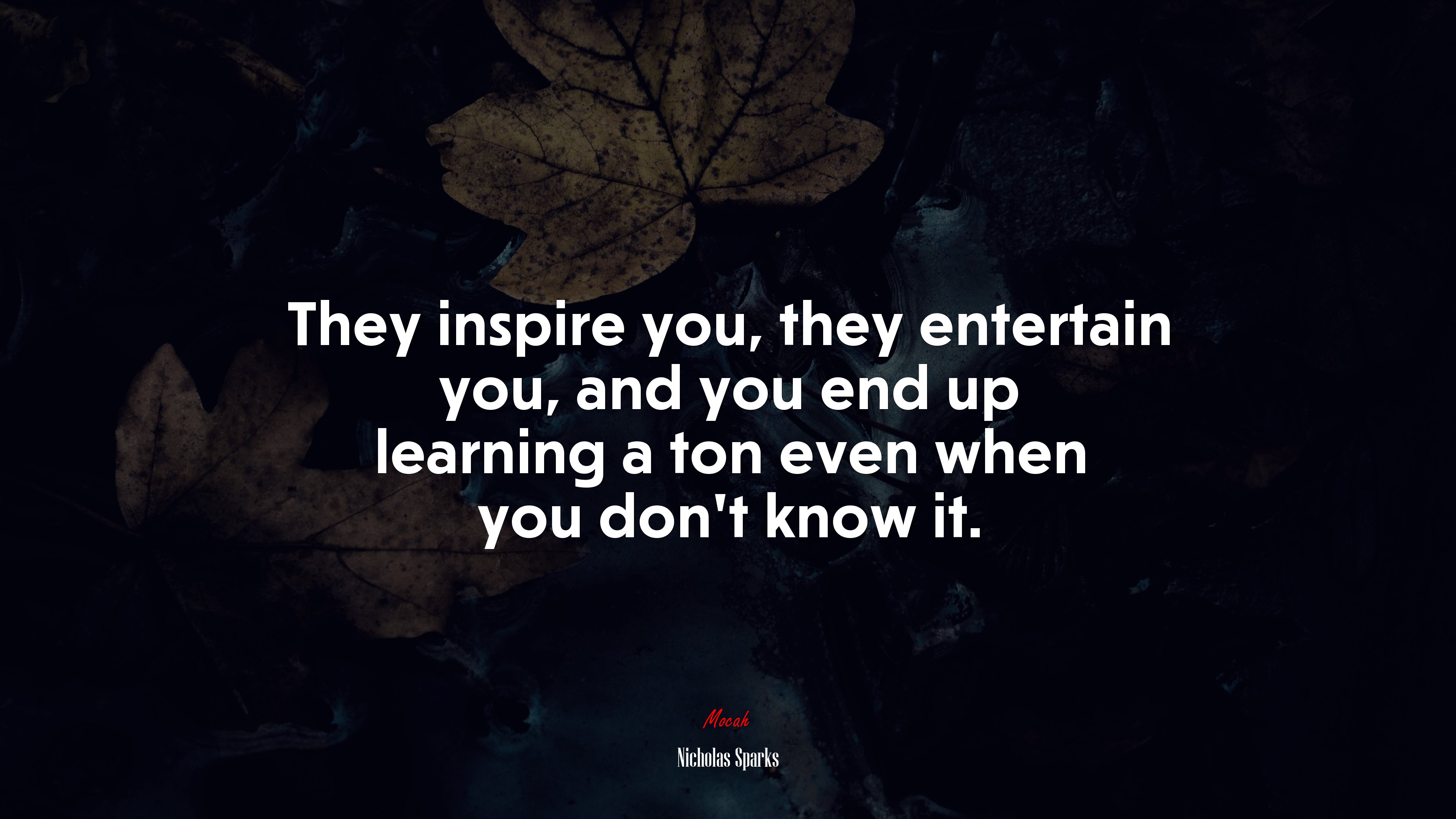 They inspire you, they entertain you, and you end up learning a ton even when you don’t know it. | Nicholas Sparks quote HD Wallpaper