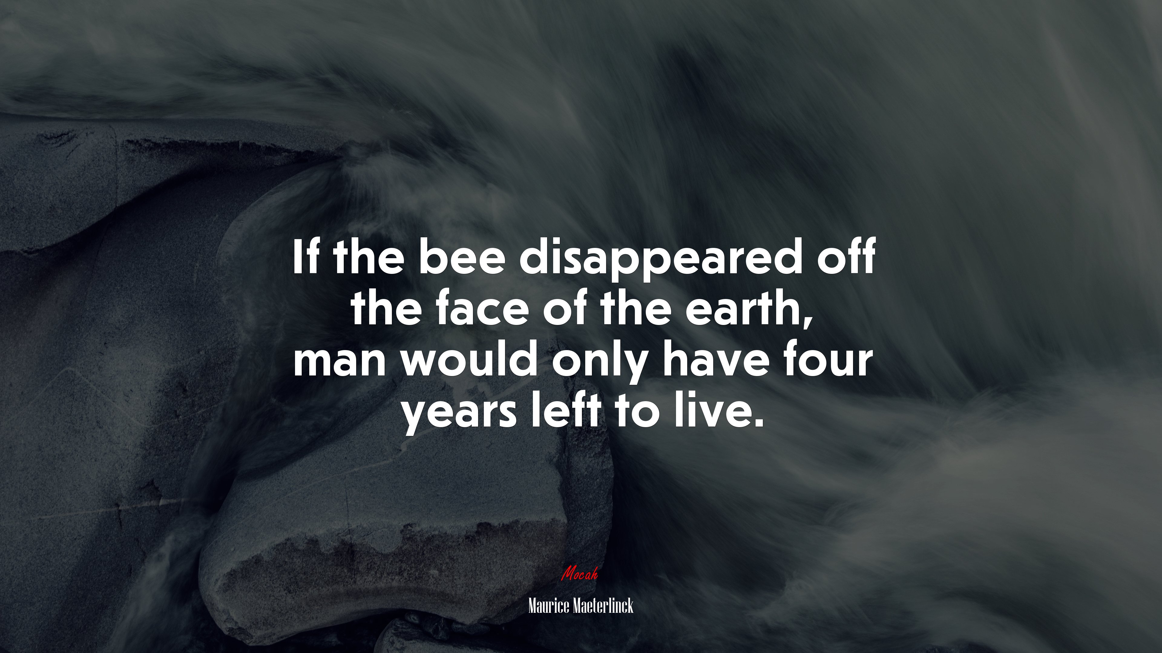 If the bee disappeared off the face of the earth, man would only have four years left to live. | Maurice Maeterlinck quote HD Wallpaper