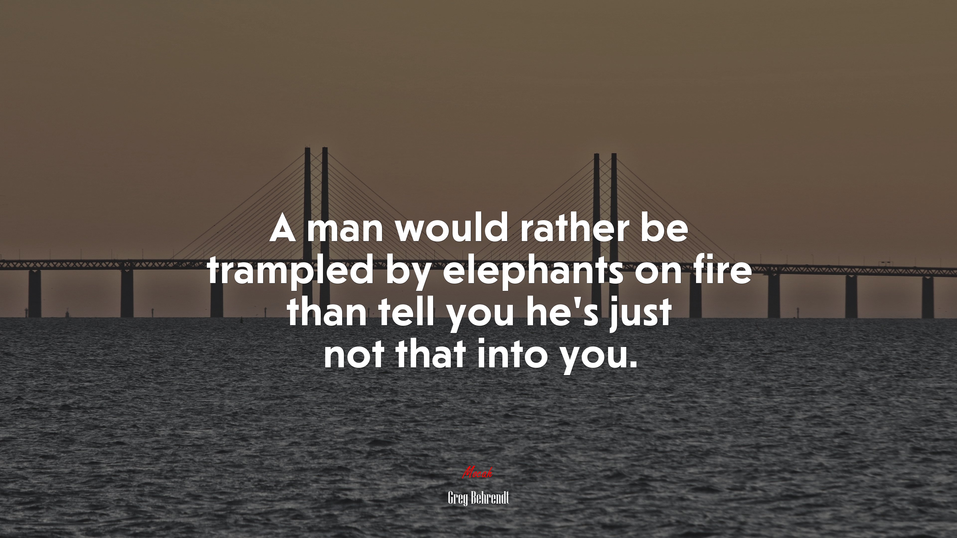 A man would rather be trampled by elephants on fire than tell you he’s just not that into you. | Greg Behrendt quote HD Wallpaper