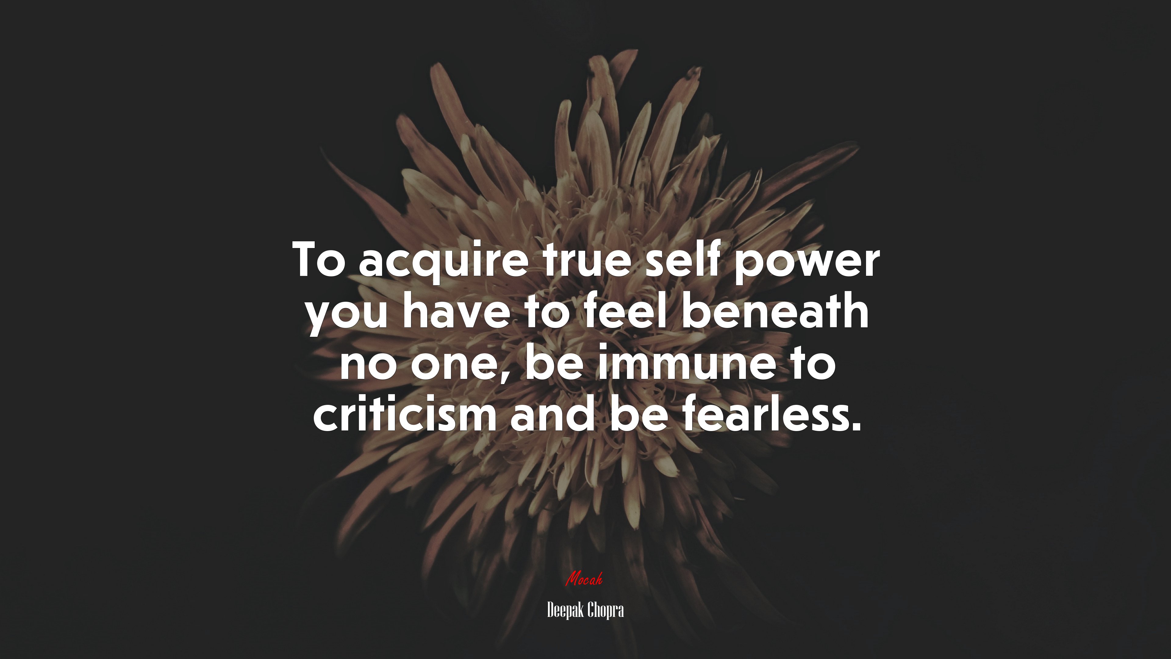 To acquire true self power you have to feel beneath no one, be immune to criticism and be fearless. | Deepak Chopra quote HD Wallpaper