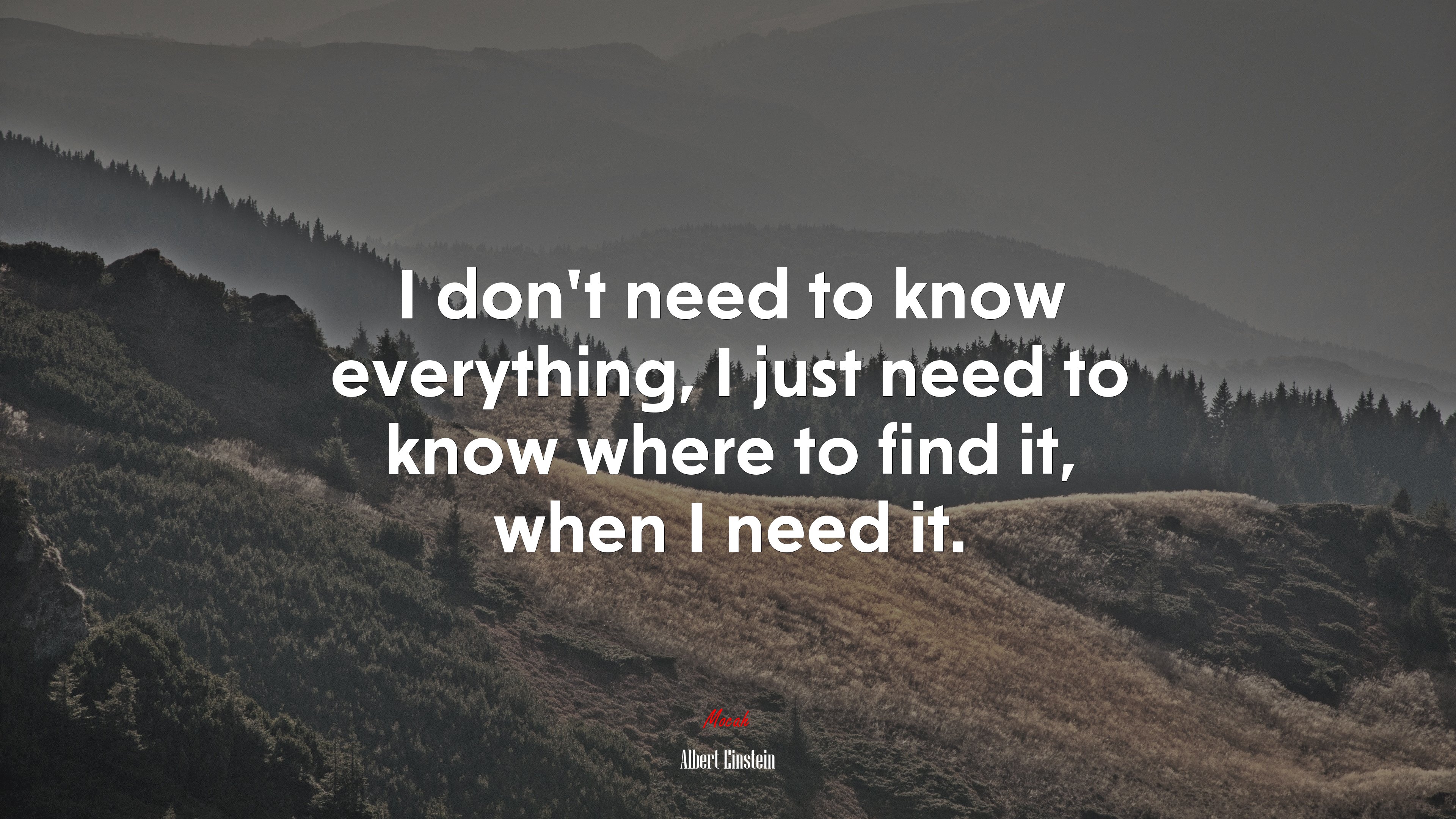 I don’t need to know everything, I just need to know where to find it, when I need it. | Albert Einstein quote HD Wallpaper