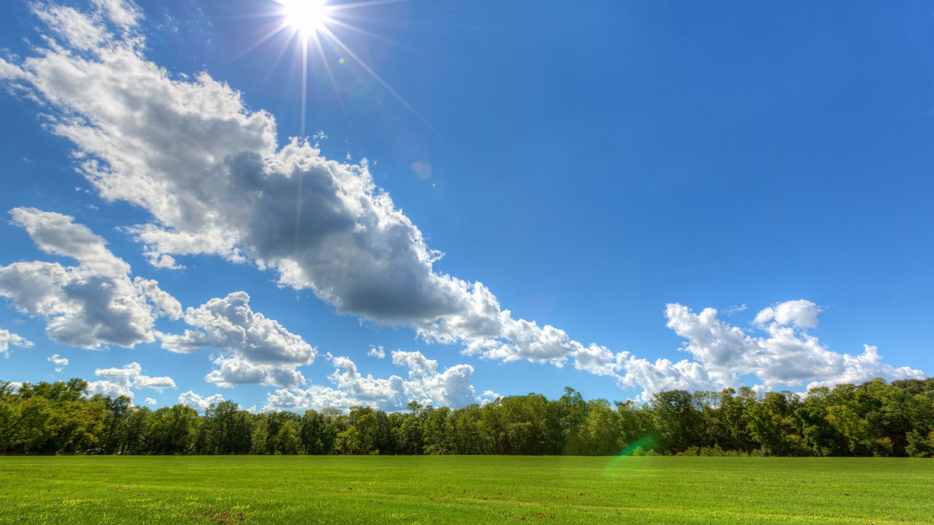 Sunny day with clouds over a green field and trees HD Wallpaper