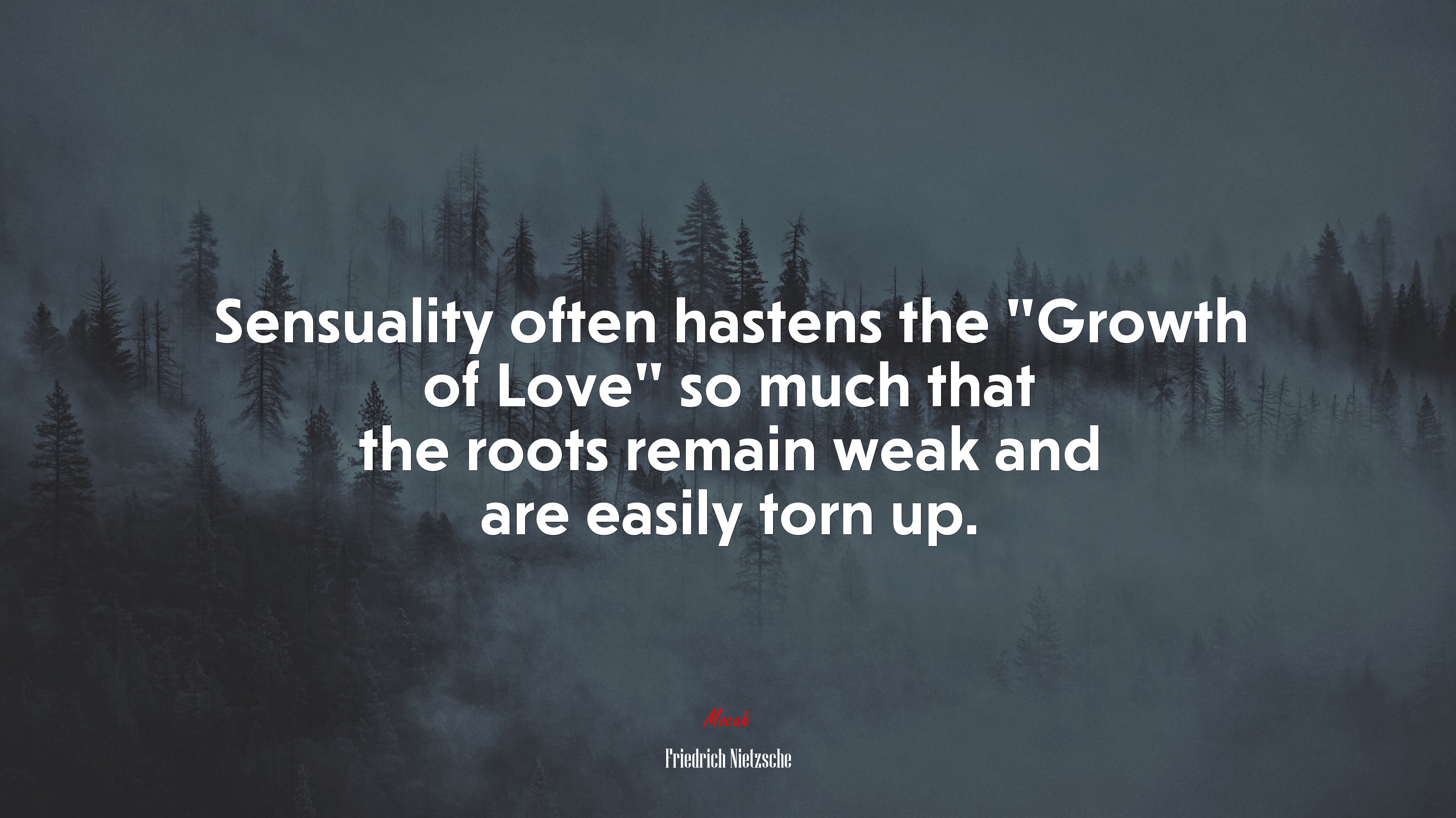 Sensuality often hastens the “Growth of Love” so much that the roots remain weak and are easily torn up. | Friedrich Nietzsche quote HD Wallpaper