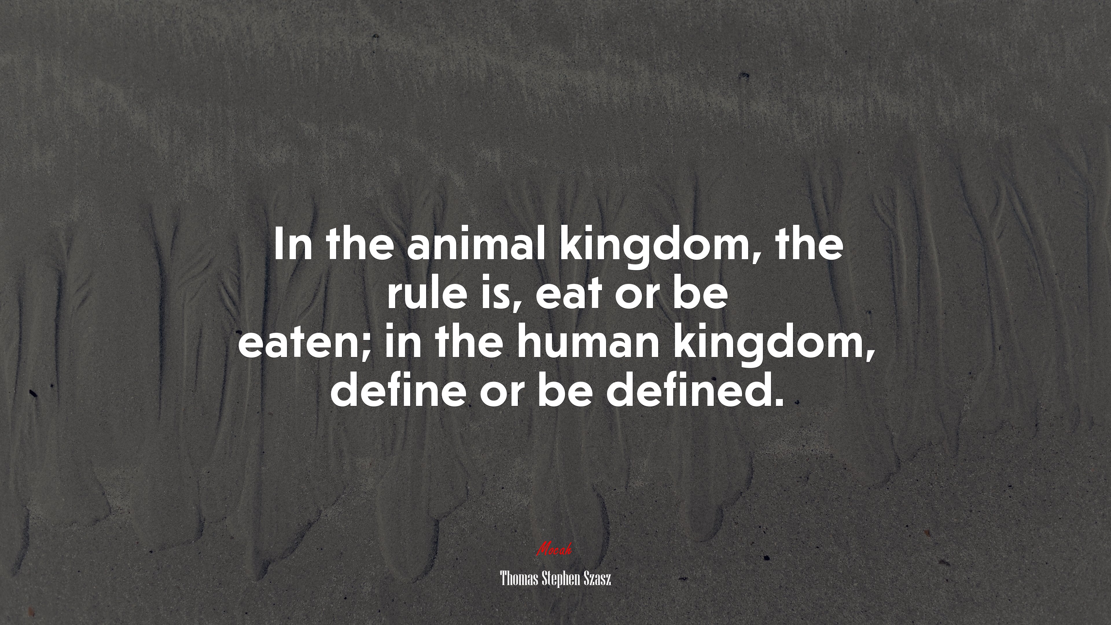 In the animal kingdom, the rule is, eat or be eaten; in the human kingdom, define or be defined. | Thomas Stephen Szasz quote HD Wallpaper