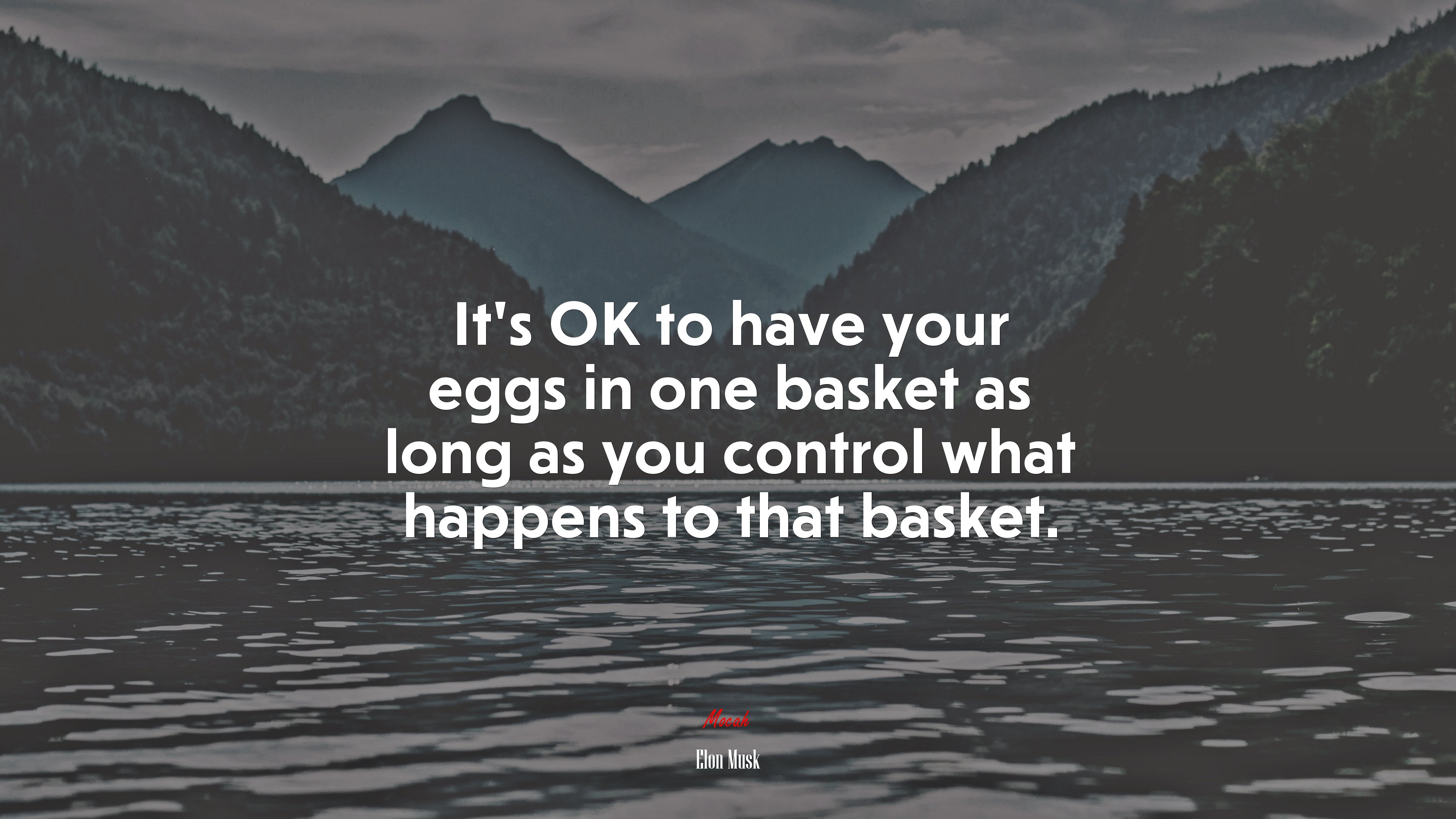 It’s OK to have your eggs in one basket as long as you control what happens to that basket. | Elon Musk quote HD Wallpaper