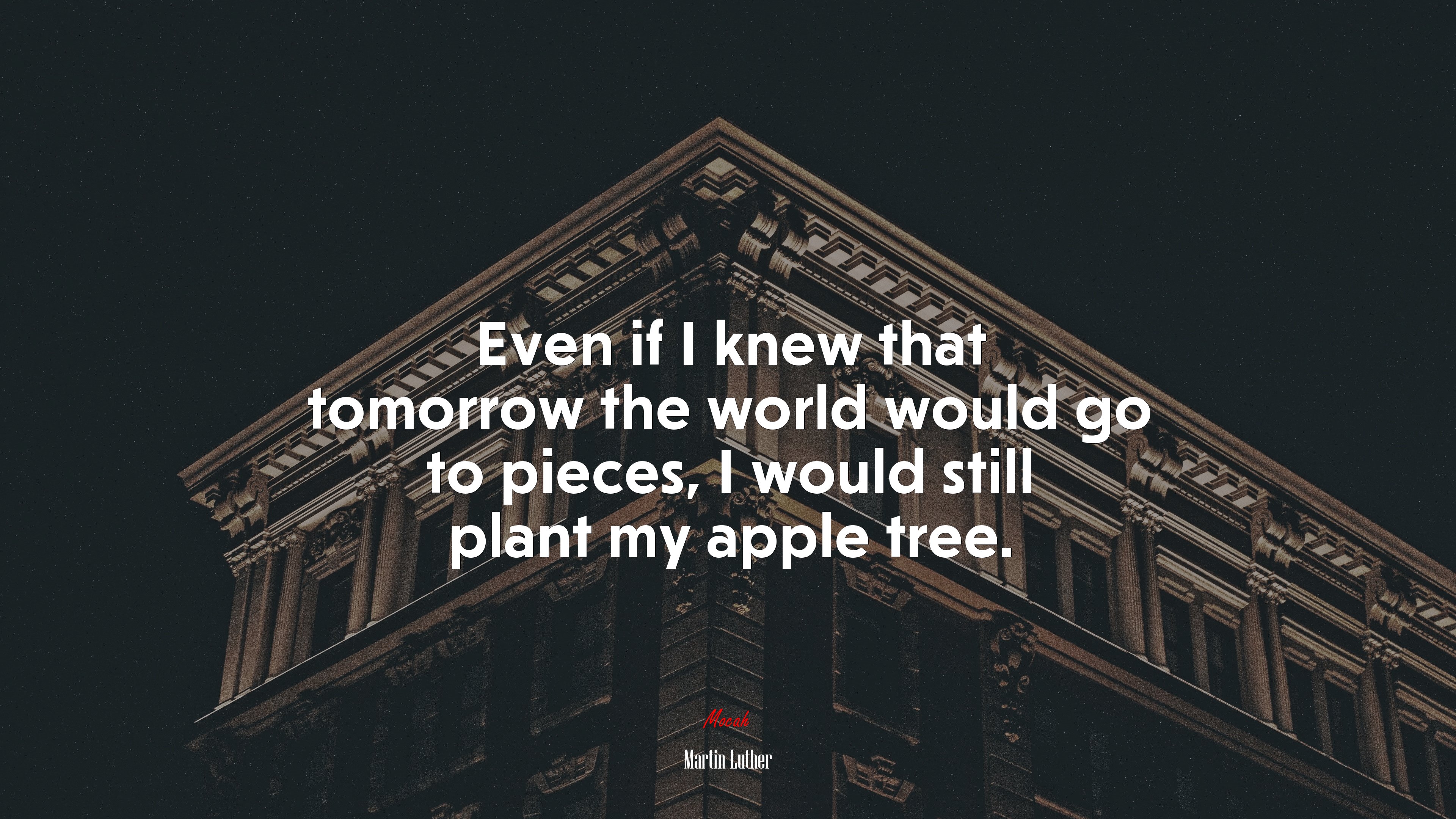 Even if I knew that tomorrow the world would go to pieces, I would still plant my apple tree. | Martin Luther quote HD Wallpaper