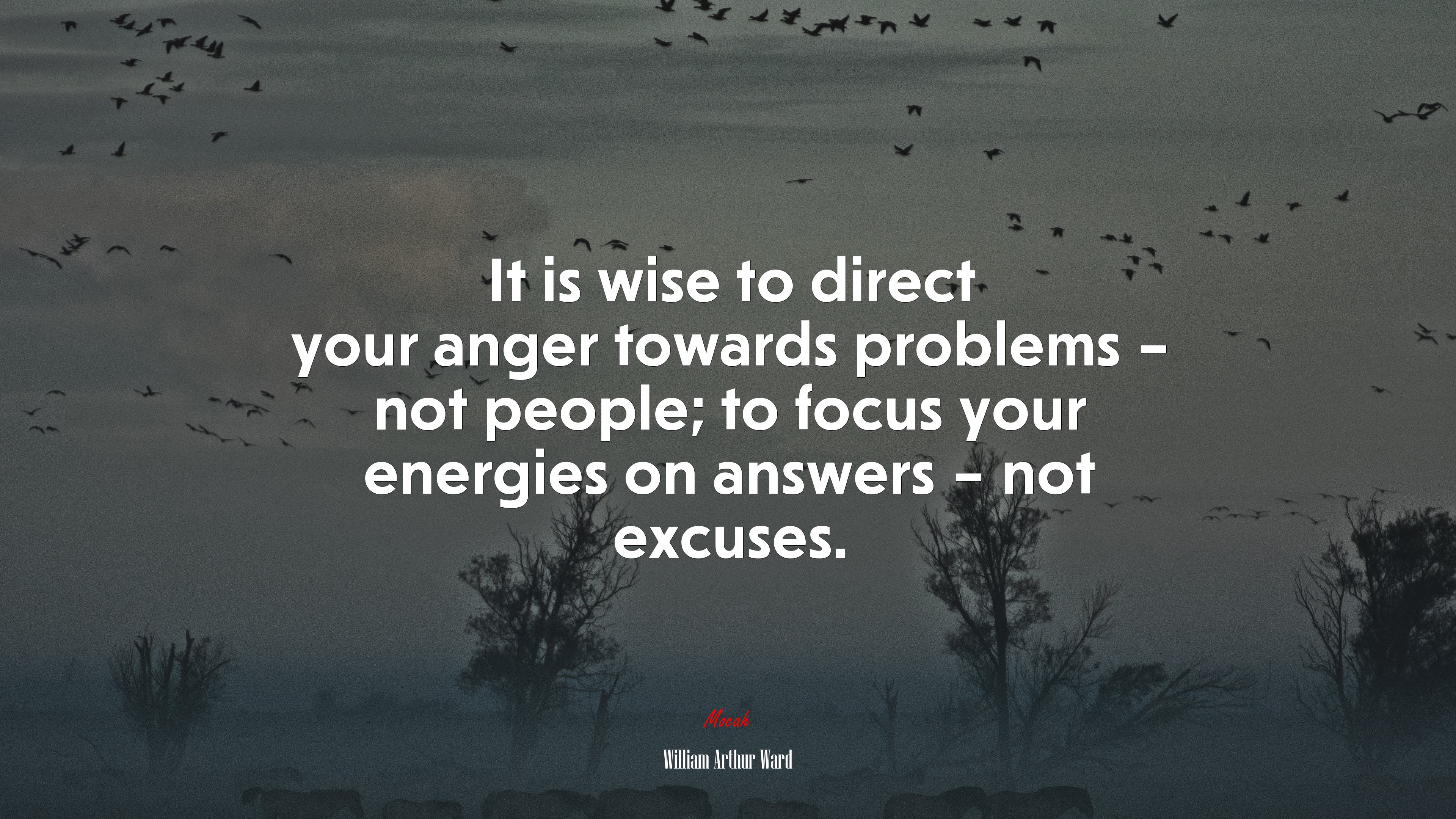 It is wise to direct your anger towards problems – not people; to focus your energies on answers – not excuses. | William Arthur Ward quote HD Wallpaper