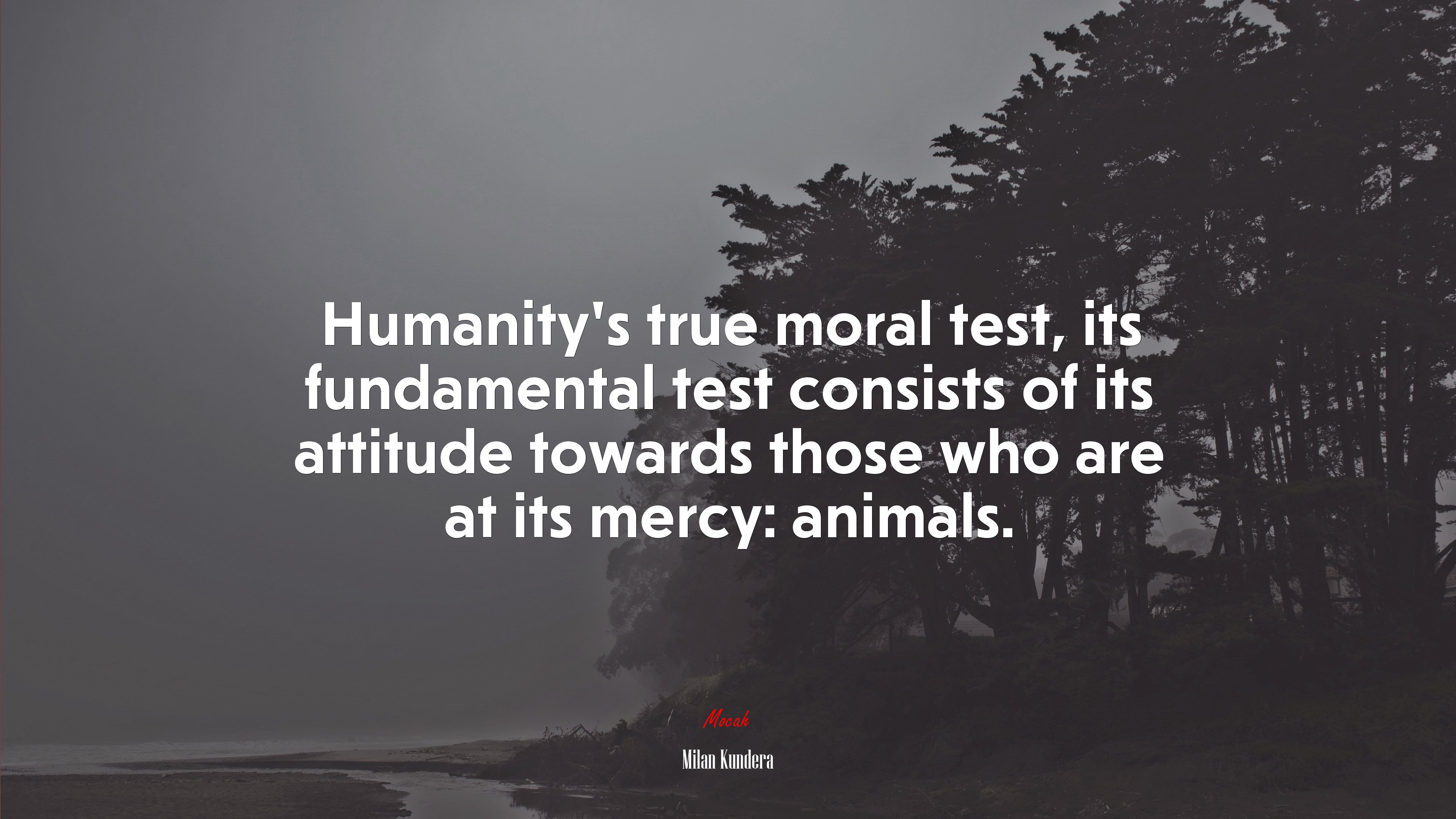 Humanity’s true moral test, its fundamental test consists of its attitude towards those who are at its mercy: animals. | Milan Kundera quote HD Wallpaper