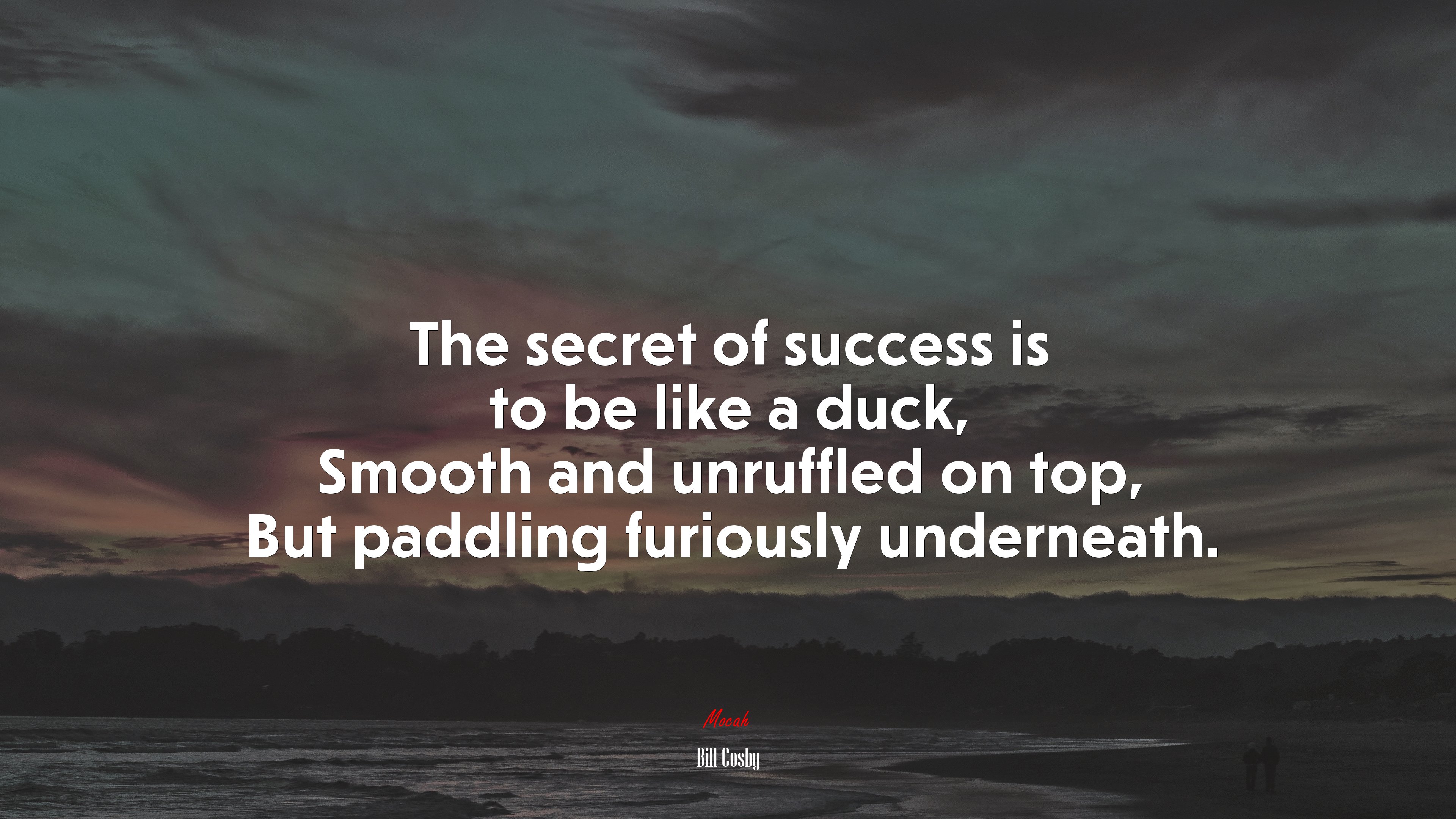 The secret of success is to be like a duck, Smooth and unruffled on top, But paddling furiously underneath. | Bill Cosby quote HD Wallpaper