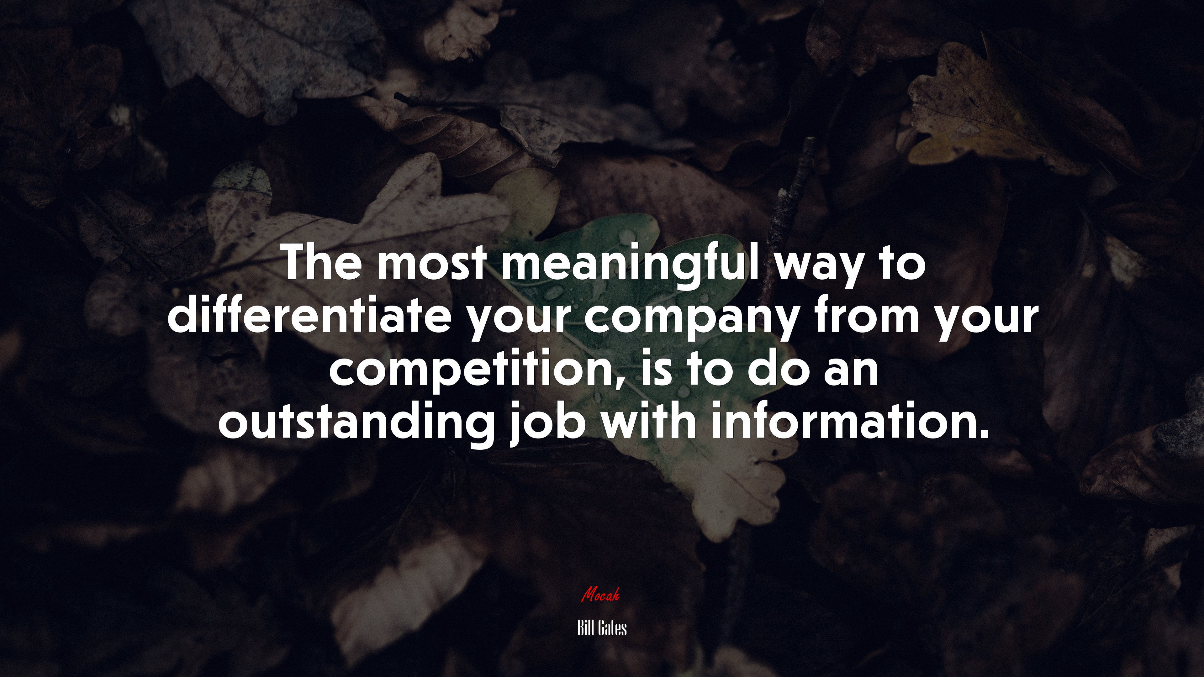 The most meaningful way to differentiate your company from your competition, is to do an outstanding job with information. | Bill Gates quote HD Wallpaper