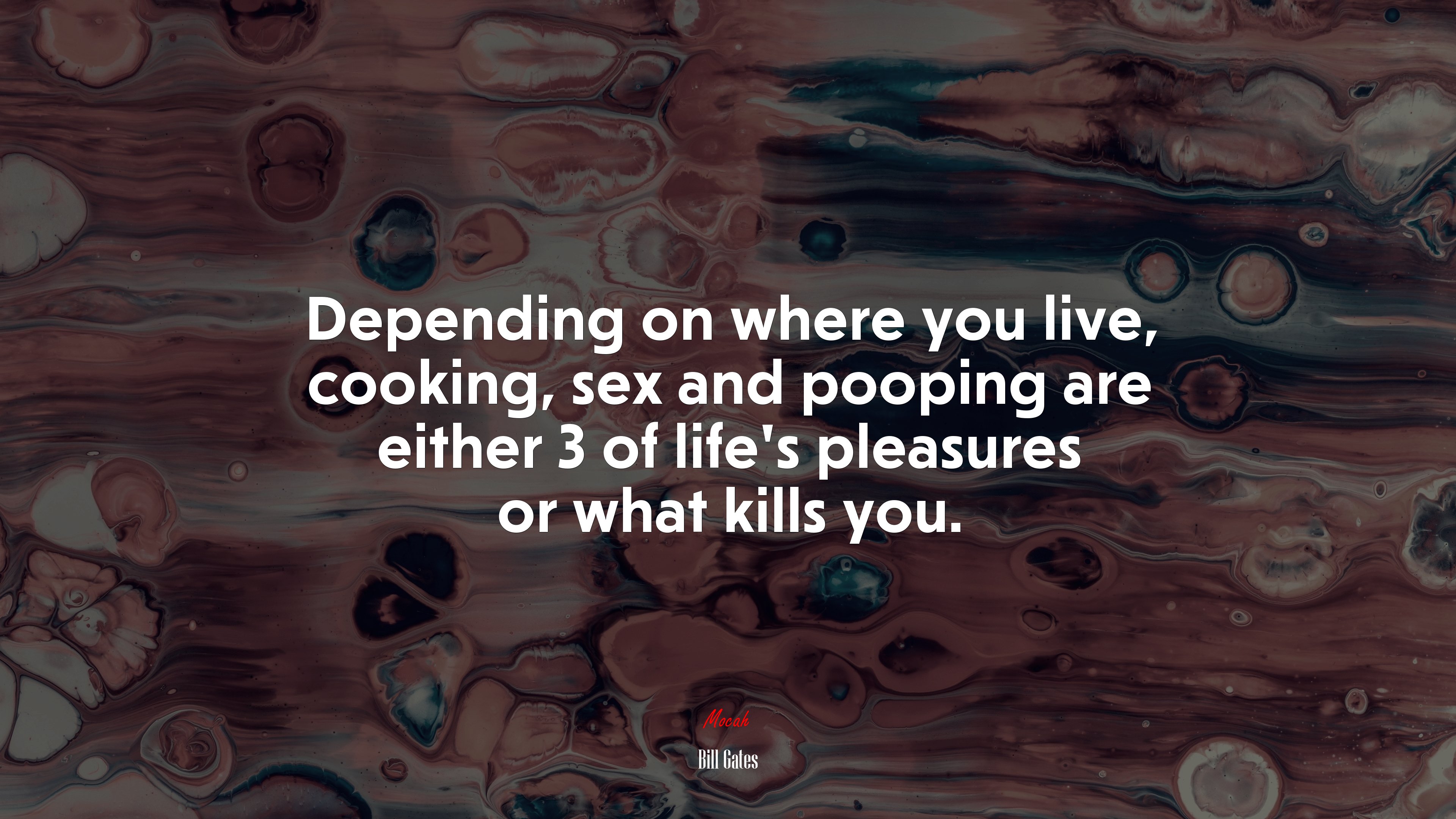 Depending on where you live, cooking, sex and pooping are either 3 of life’s pleasures or what kills you. | Bill Gates quote HD Wallpaper