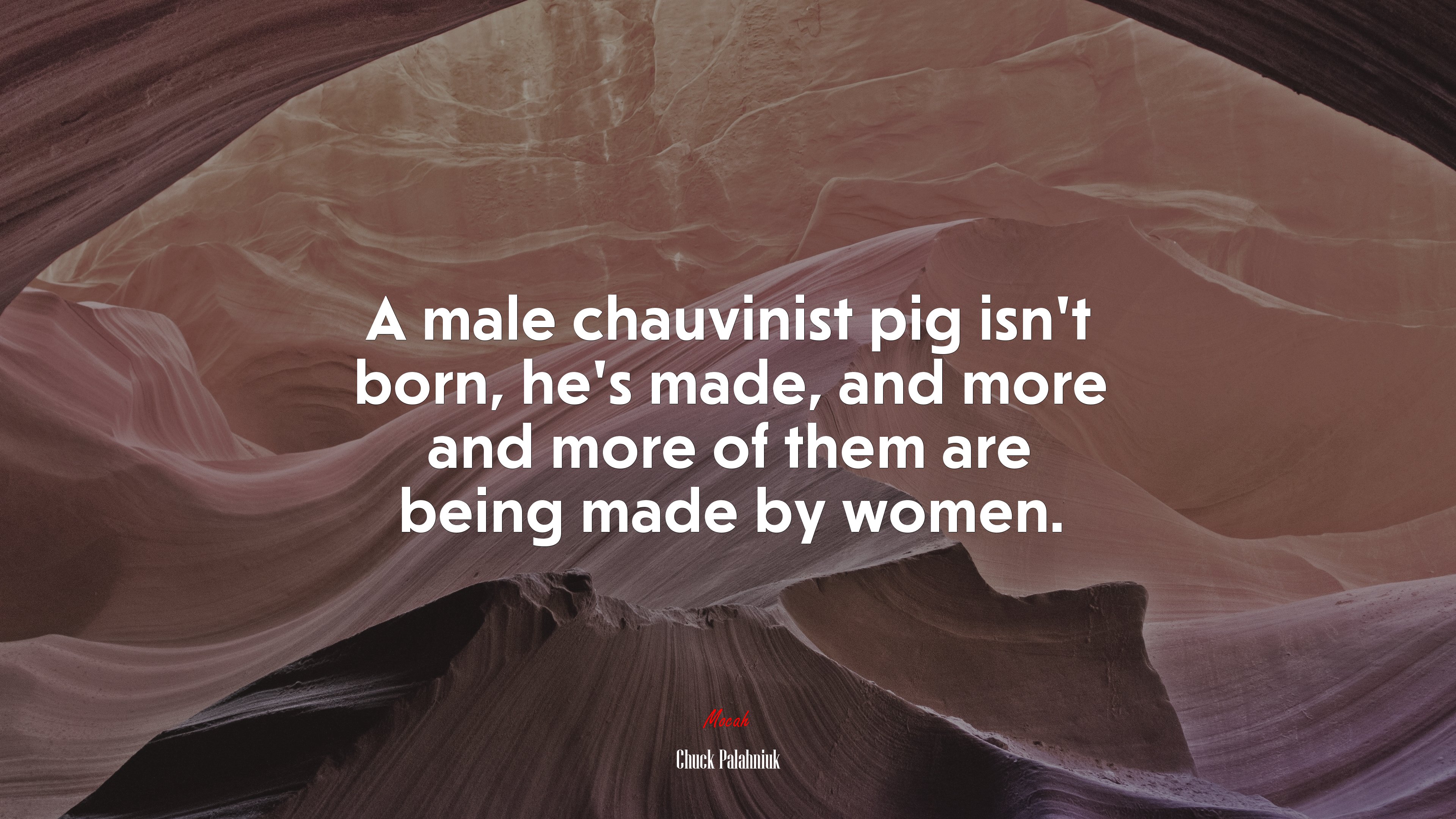 A male chauvinist pig isn’t born, he’s made, and more and more of them are being made by women. | Chuck Palahniuk quote HD Wallpaper