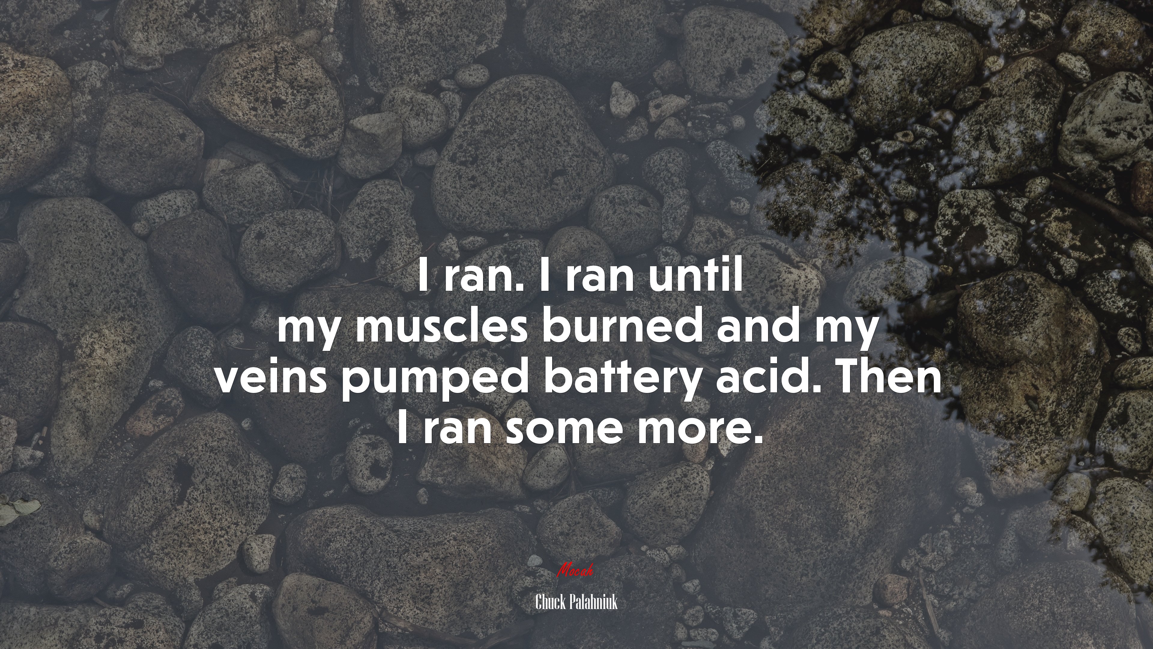 I ran. I ran until my muscles burned and my veins pumped battery acid. Then I ran some more. | Chuck Palahniuk quote HD Wallpaper