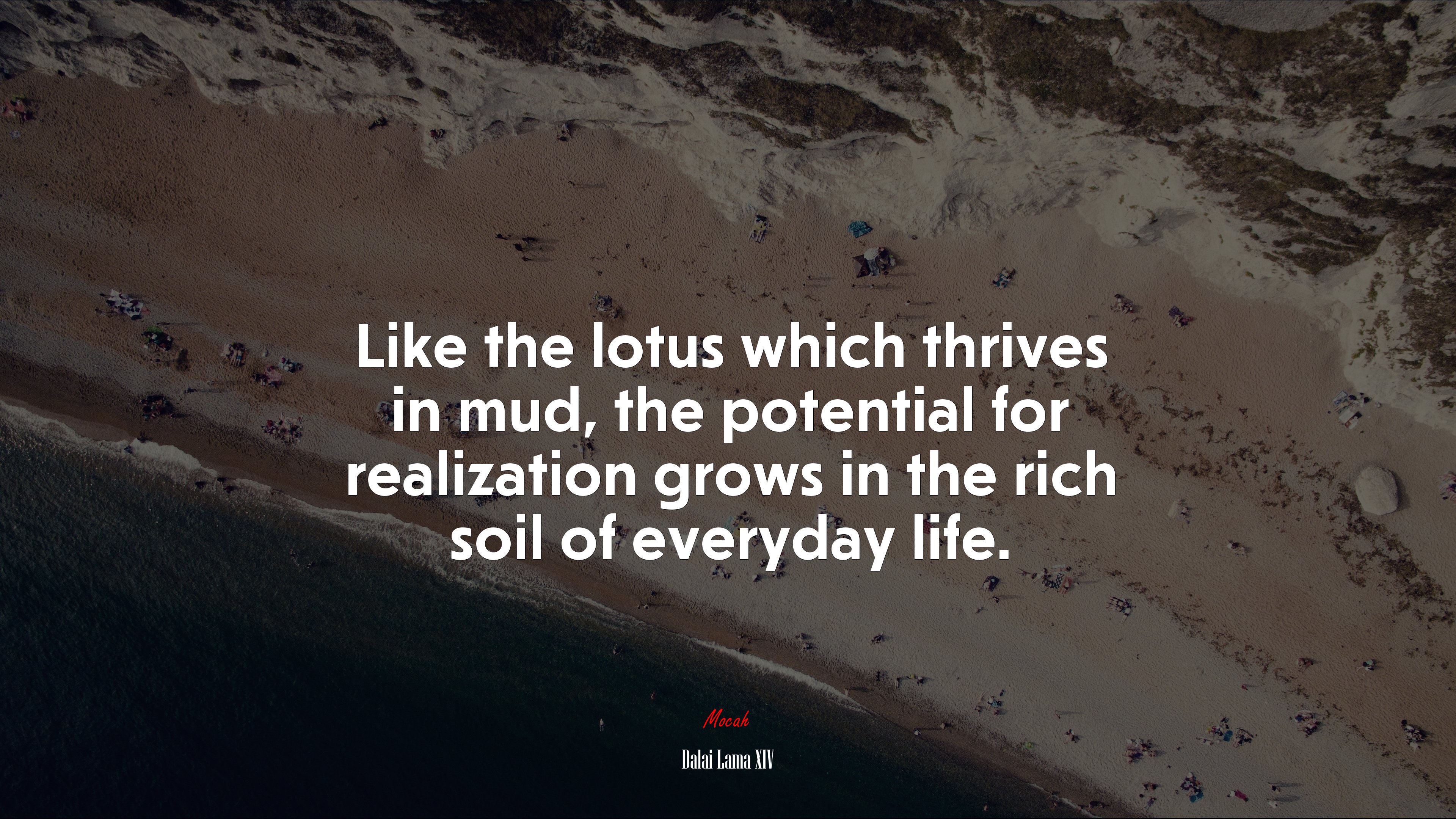 Like the lotus which thrives in mud, the potential for realization grows in the rich soil of everyday life. | Dalai Lama XIV quote HD Wallpaper
