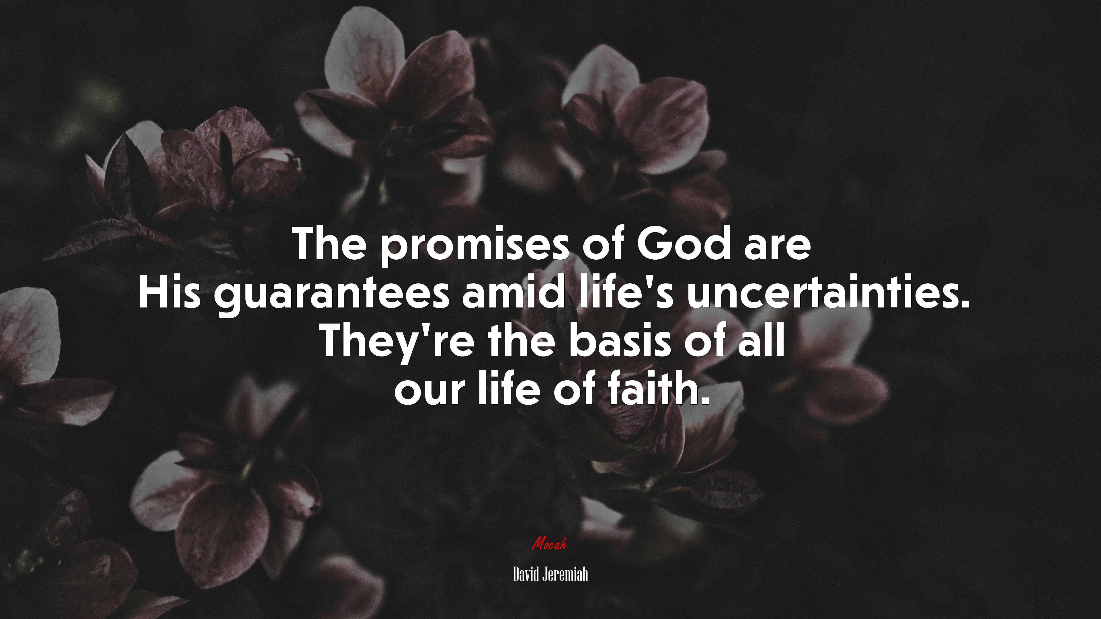 The promises of God are His guarantees amid life’s uncertainties. They’re the basis of all our life of faith. | David Jeremiah quote HD Wallpaper