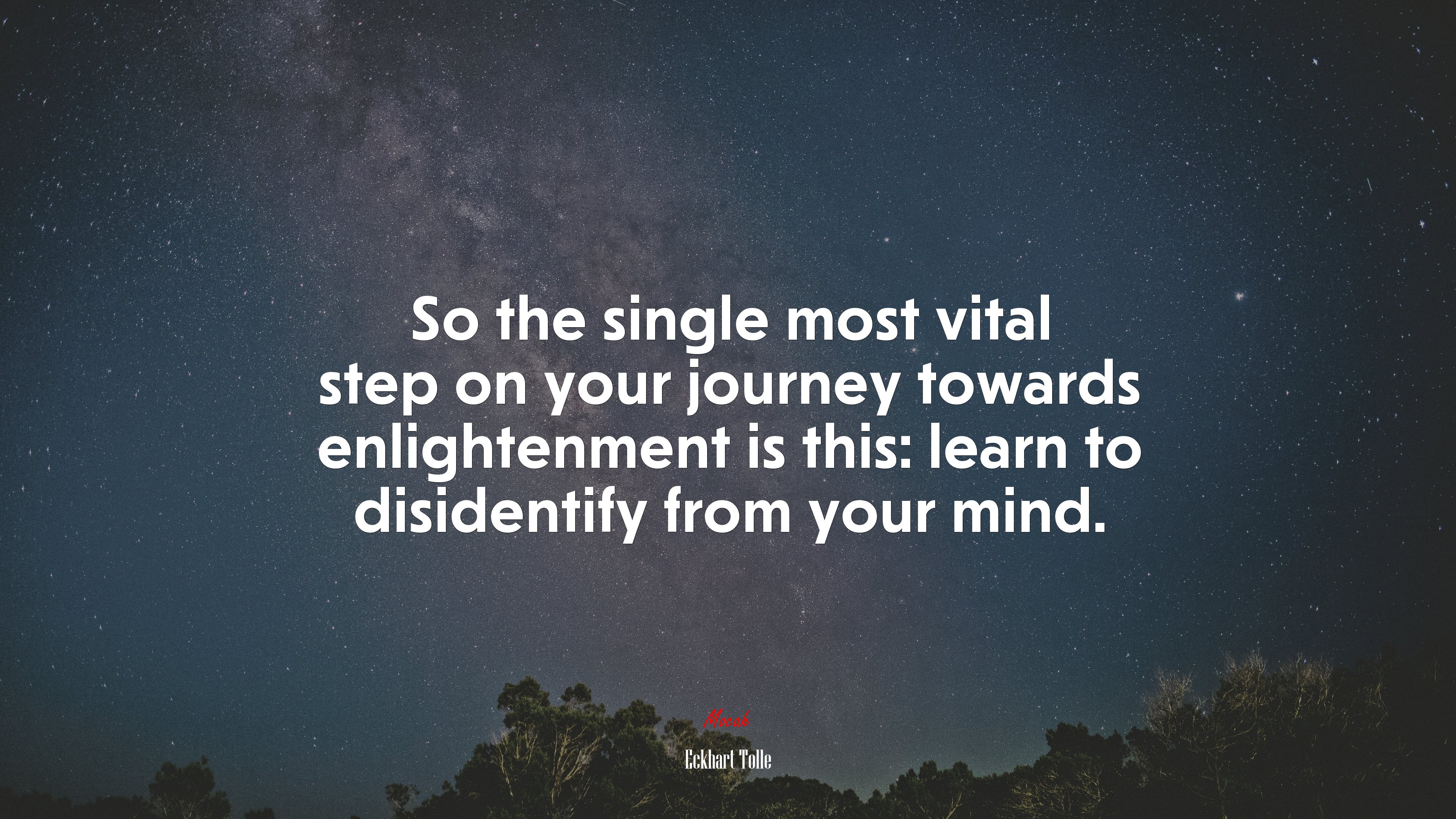 So the single most vital step on your journey towards enlightenment is this: learn to disidentify from your mind. | Eckhart Tolle quote HD Wallpaper