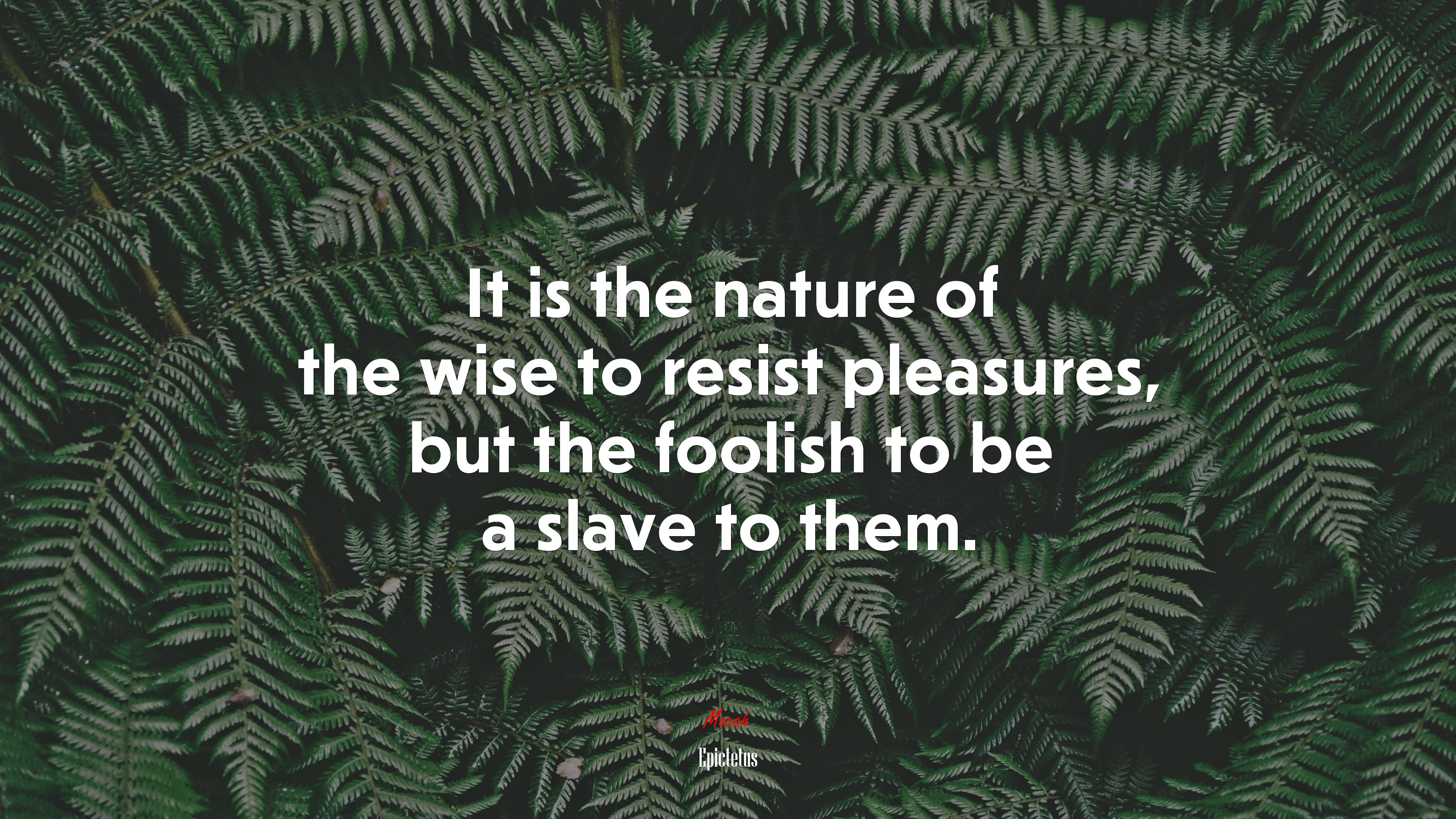 It is the nature of the wise to resist pleasures, but the foolish to be a slave to them. | Epictetus quote HD Wallpaper