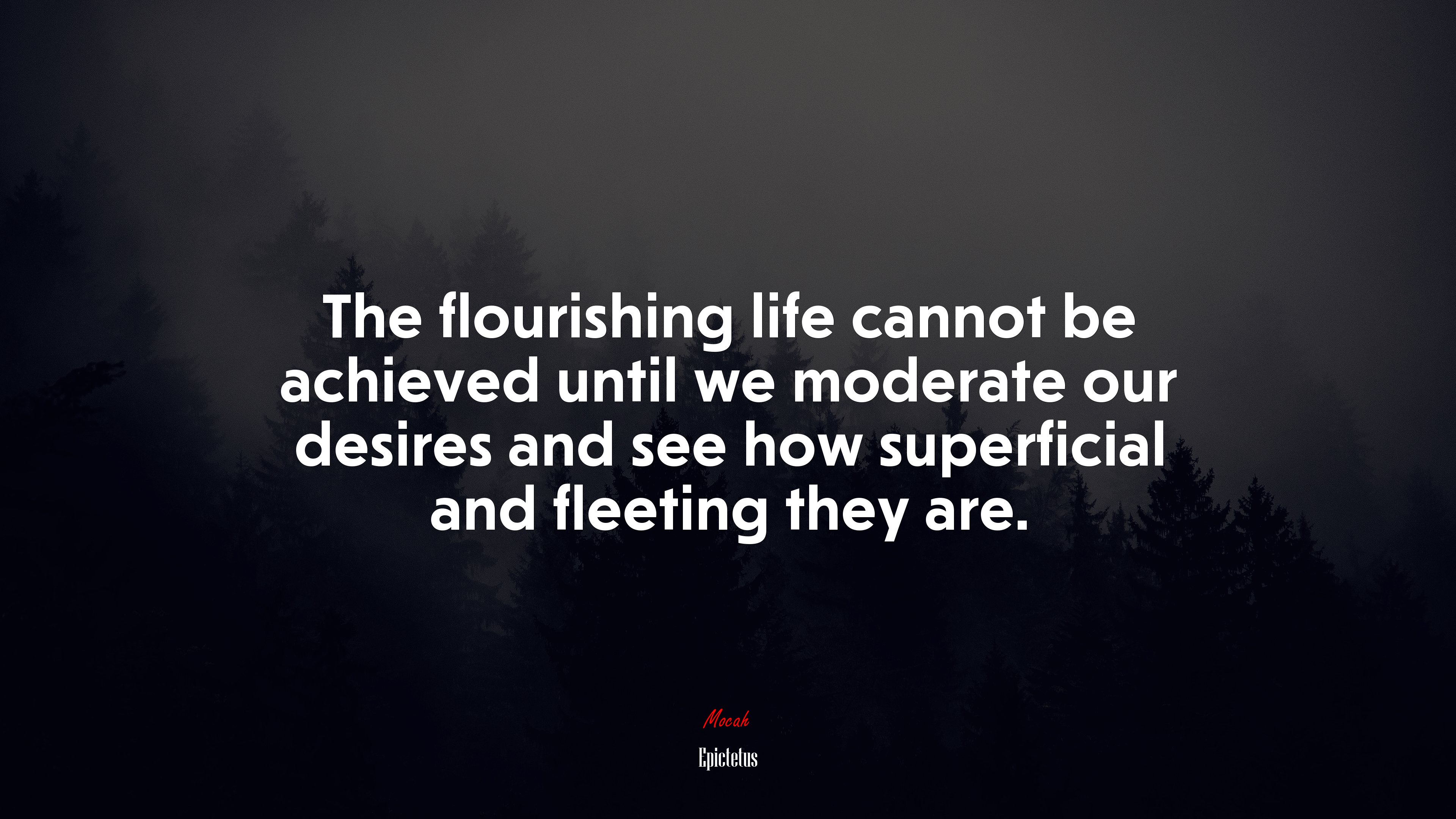 The flourishing life cannot be achieved until we moderate our desires and see how superficial and fleeting they are. | Epictetus quote HD Wallpaper