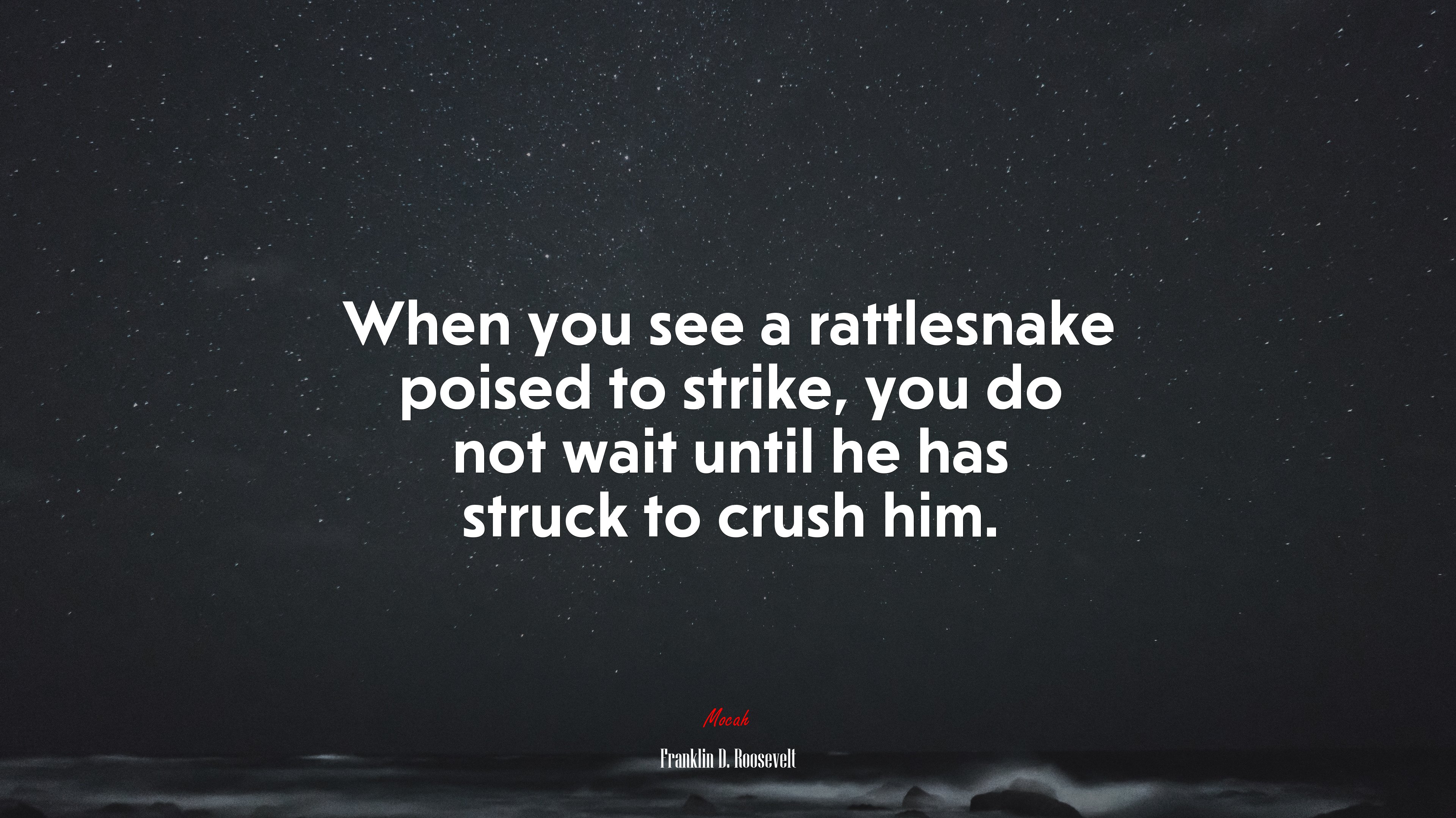 When you see a rattlesnake poised to strike, you do not wait until he has struck to crush him. | Franklin D. Roosevelt quote HD Wallpaper