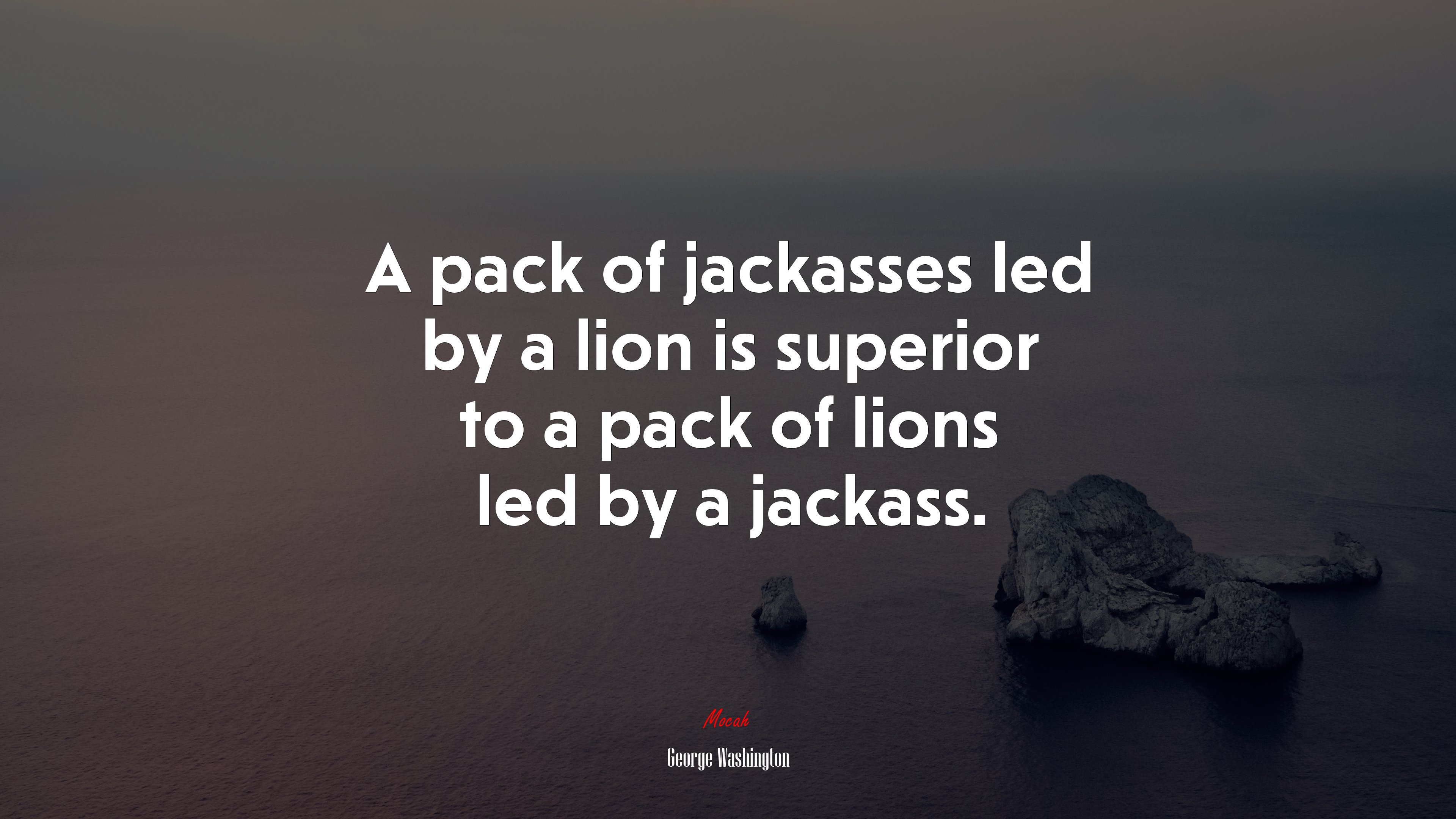 A pack of jackasses led by a lion is superior to a pack of lions led by a jackass. | George Washington quote HD Wallpaper